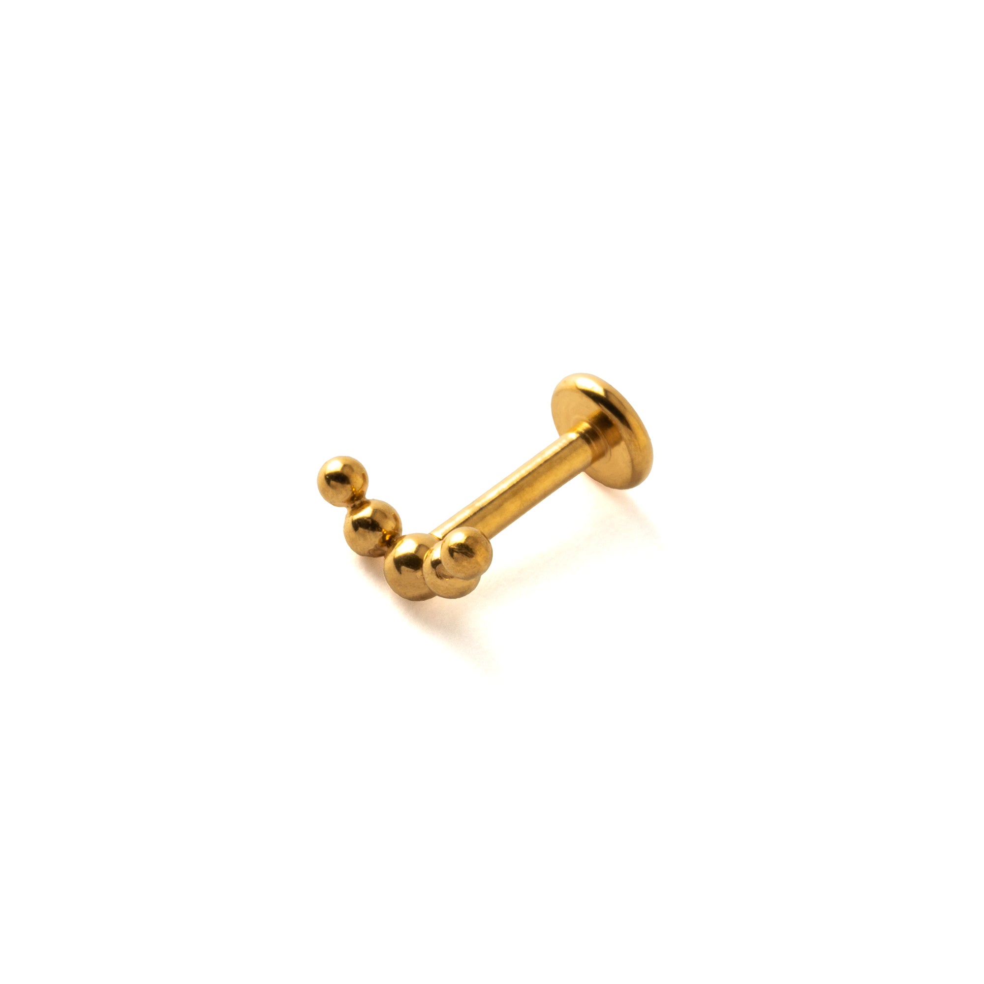 Almora Golden Labret right side view