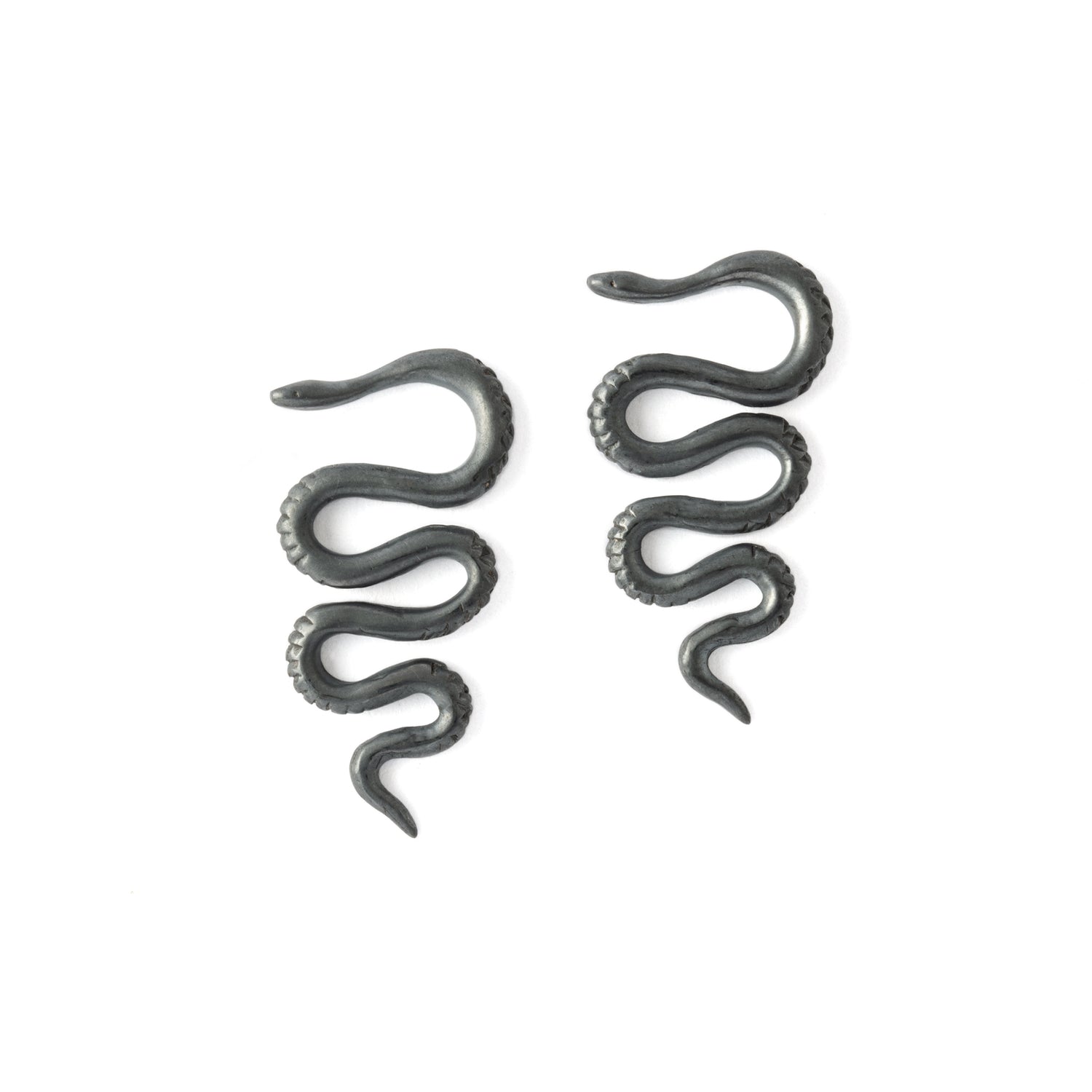 Snake Black Silver Ear Hangers