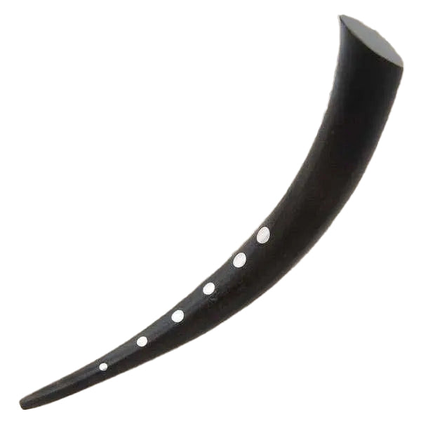 Camden Dotted Ear Stretchers