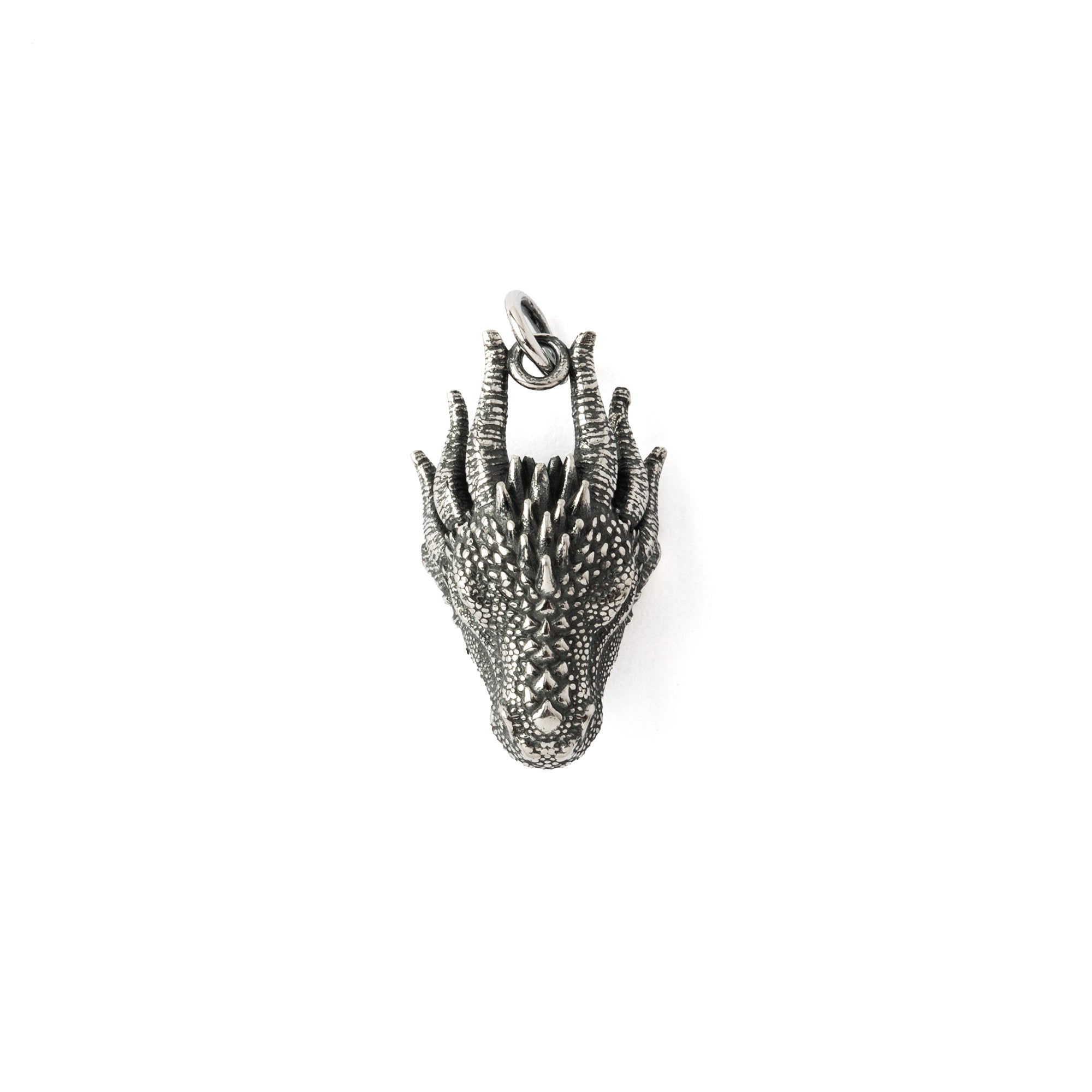 Dragon Head Silver Charm
