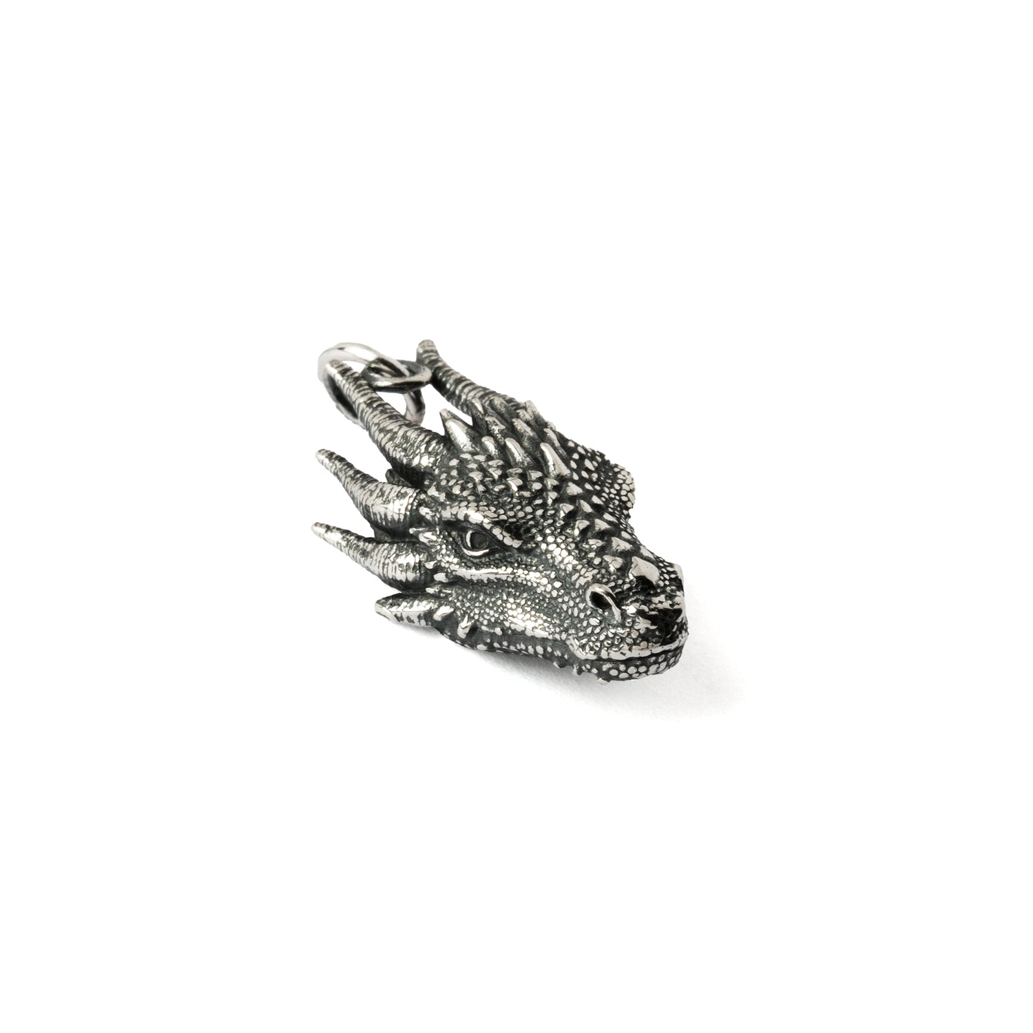 Dragon Head Silver Charm