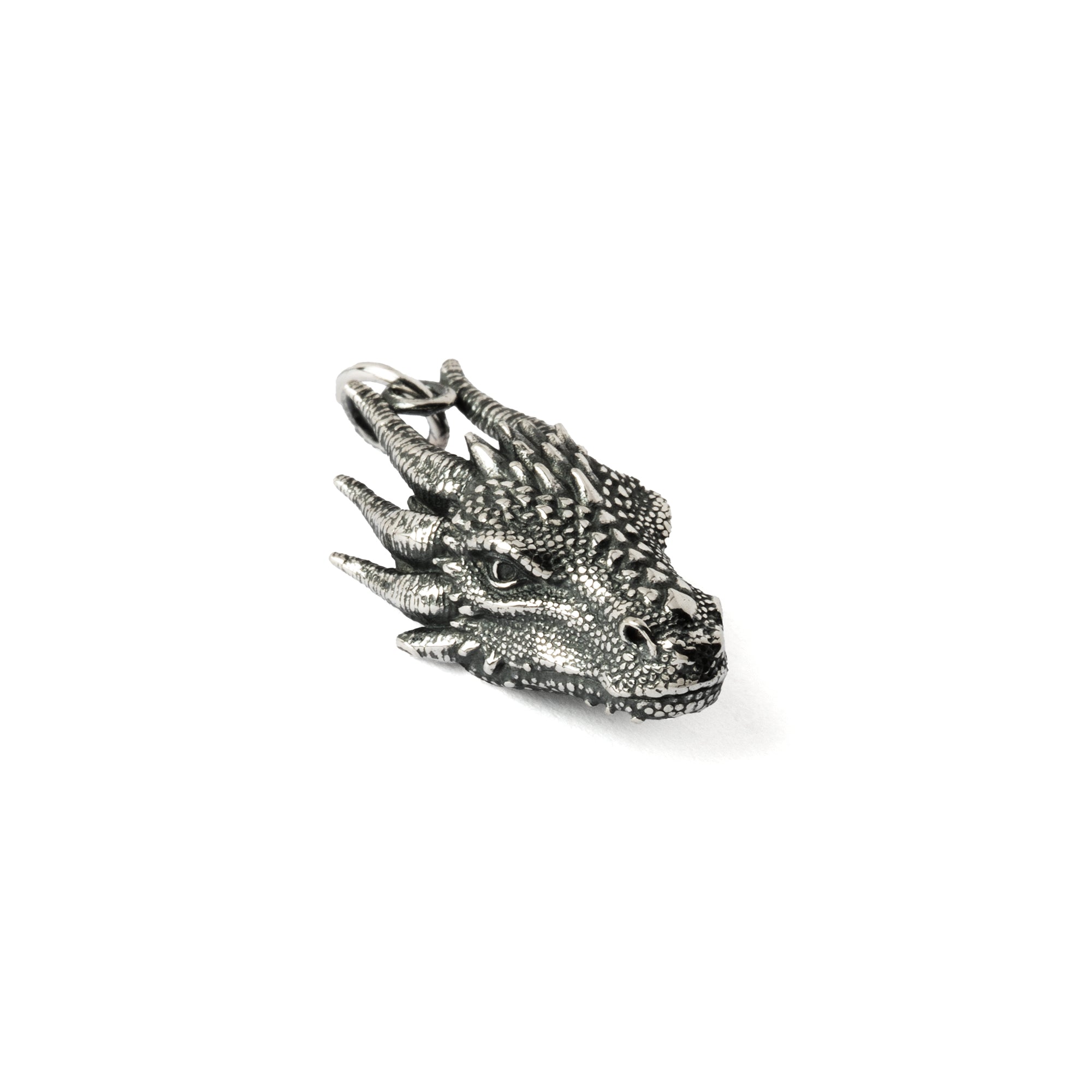 Dragon Head Silver Charm