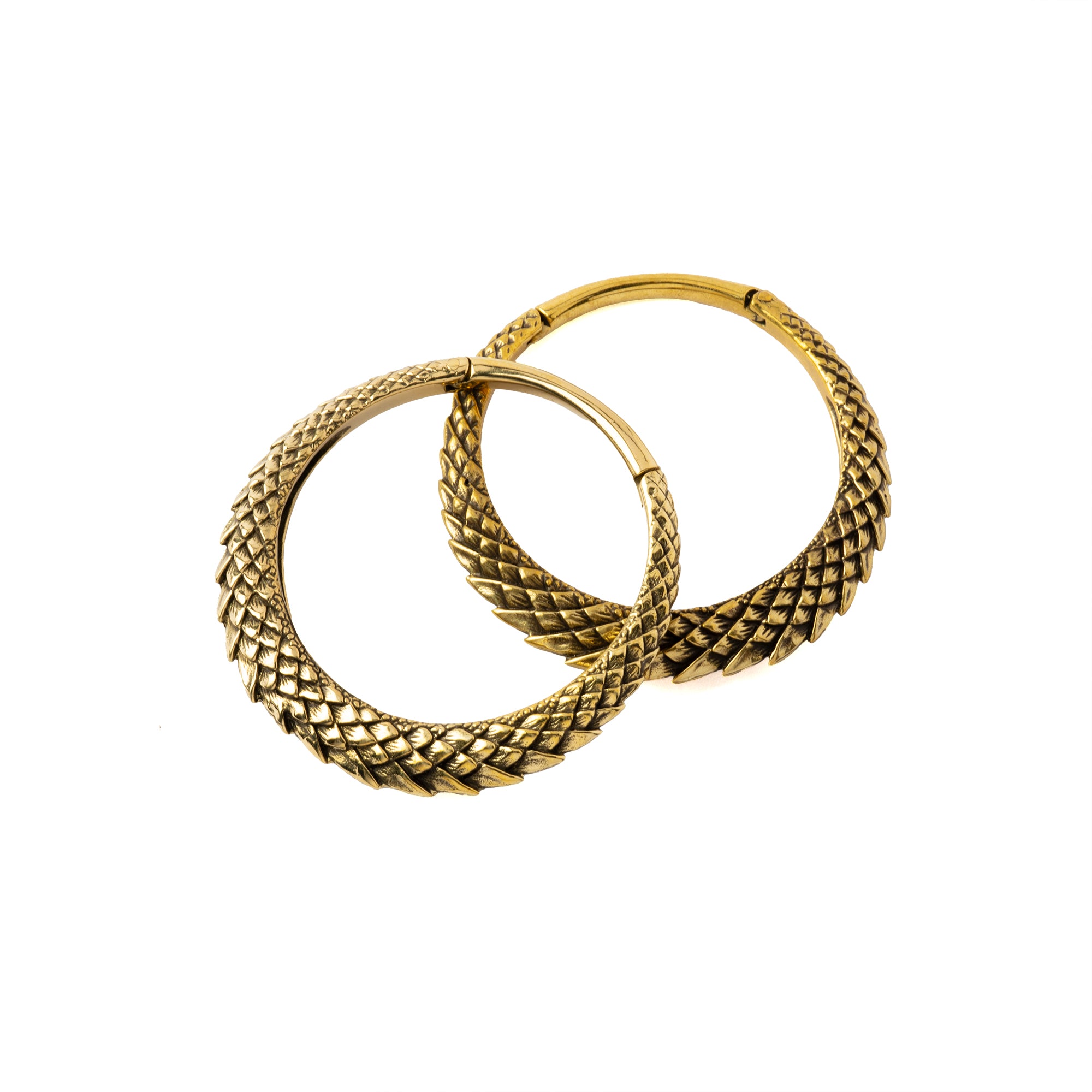A pair of Dragon Scale Ear weights Clicker Ring