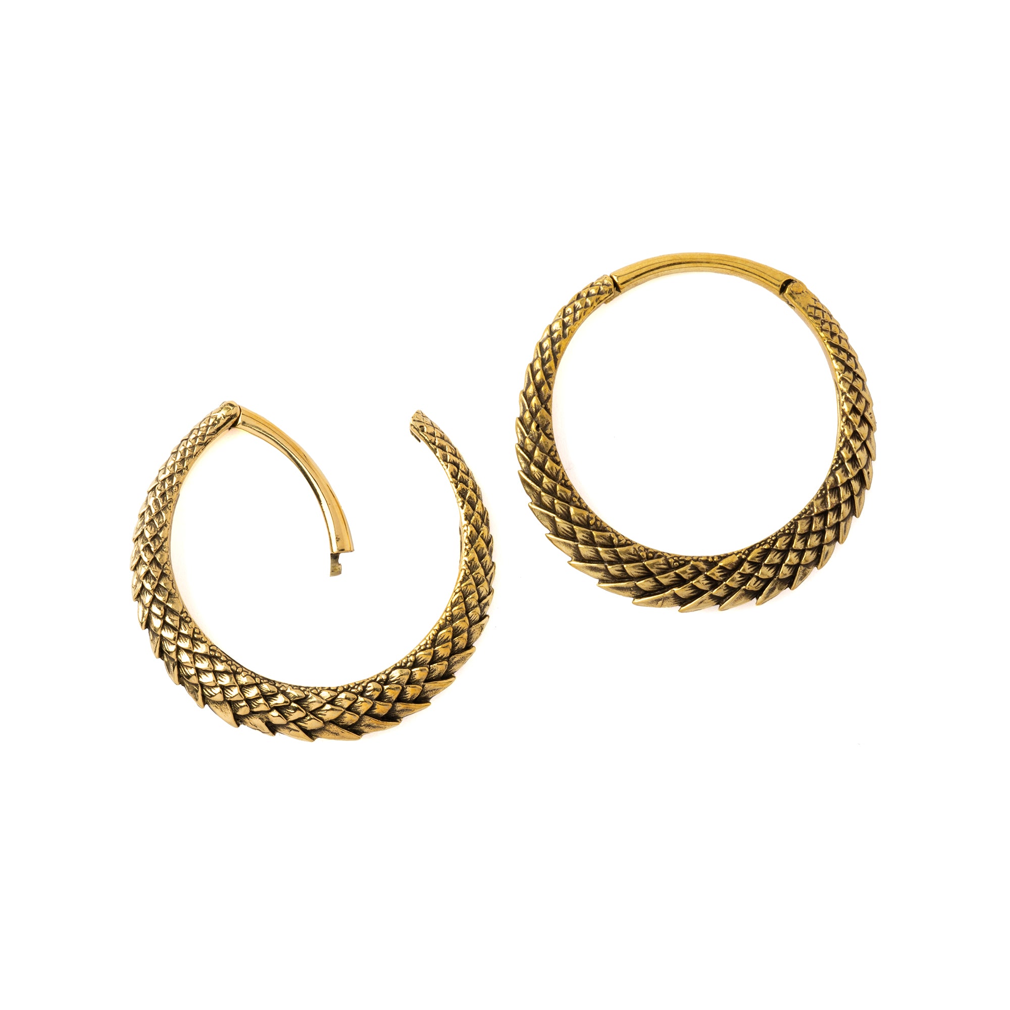 A pair of Dragon Scale Ear weights Clicker Ring open mode view