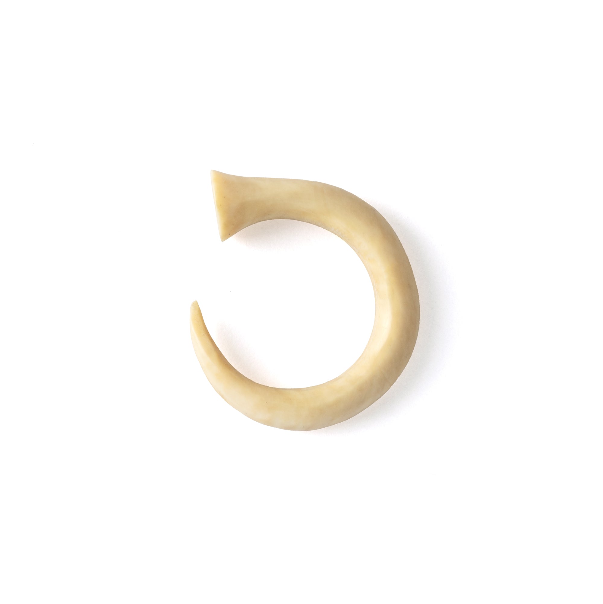 Fossilised Mammoth Ivory Circular Hook