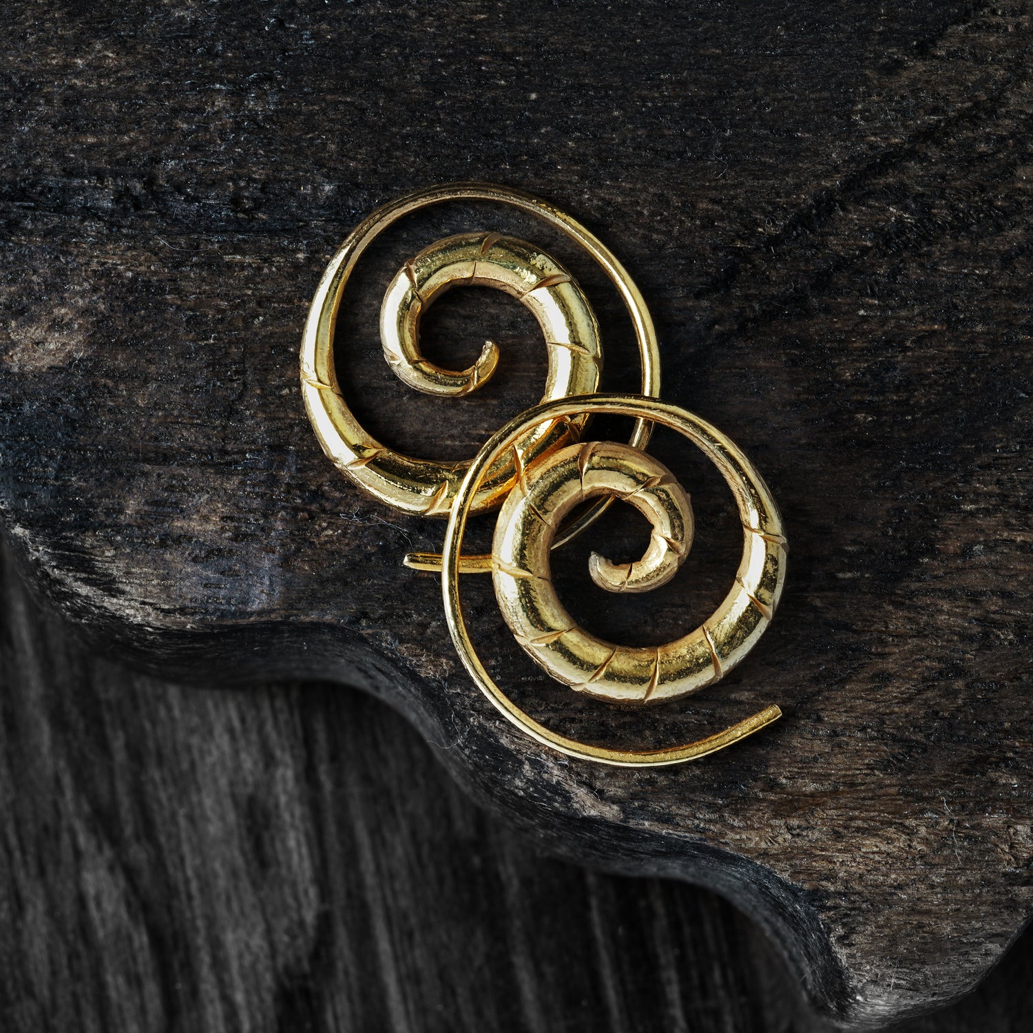 Gold Spiral Swirl Earrings