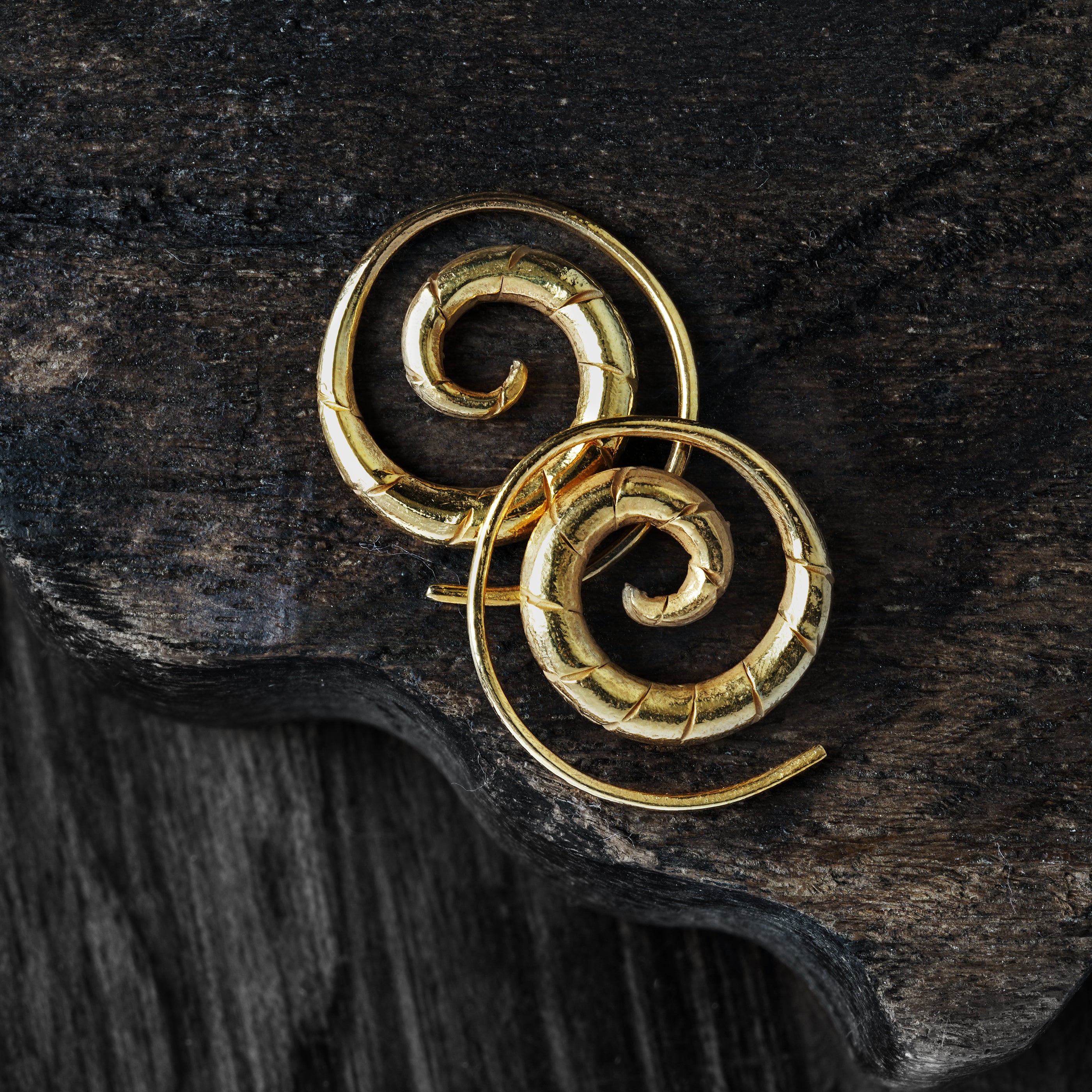 Gold Spiral Swirl Earrings