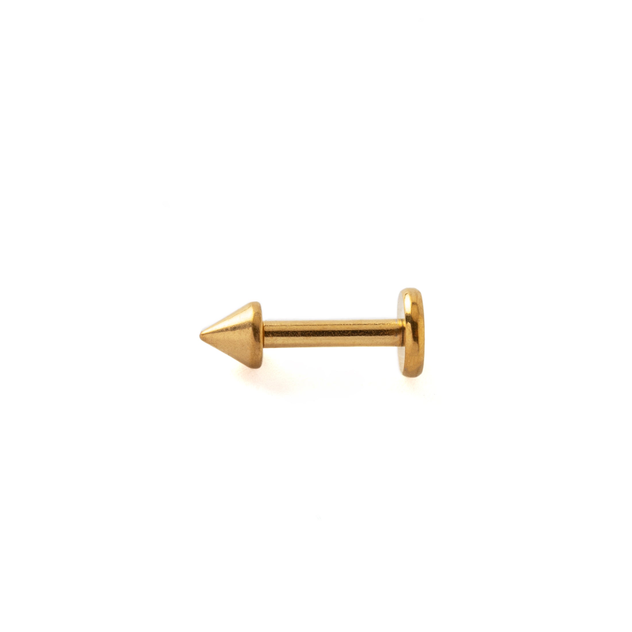 Golden Spike Labret side view