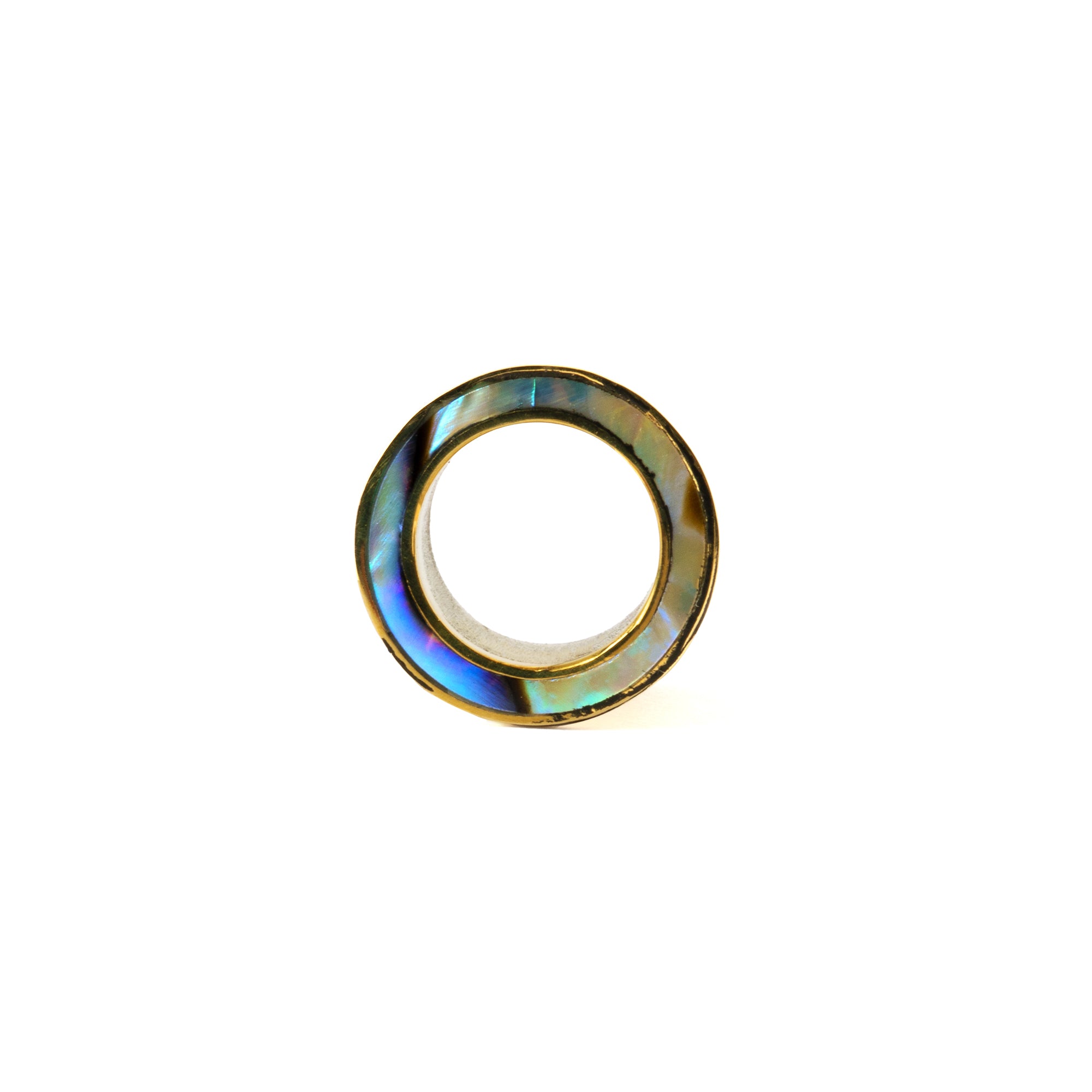 Golden Abalone Tunnels frontal view