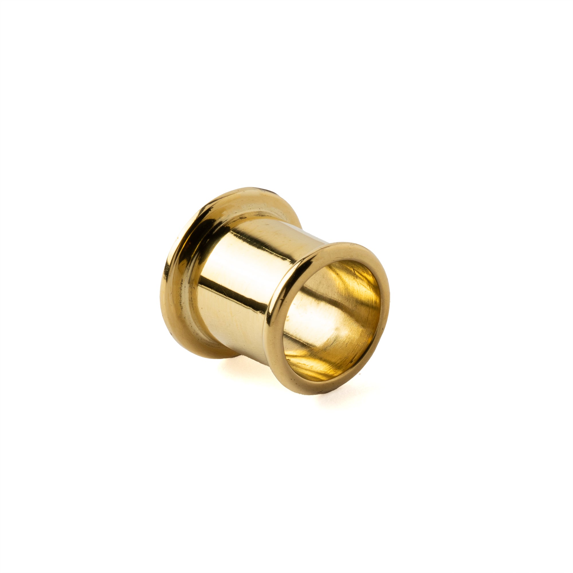 Golden Abalone Tunnels back view