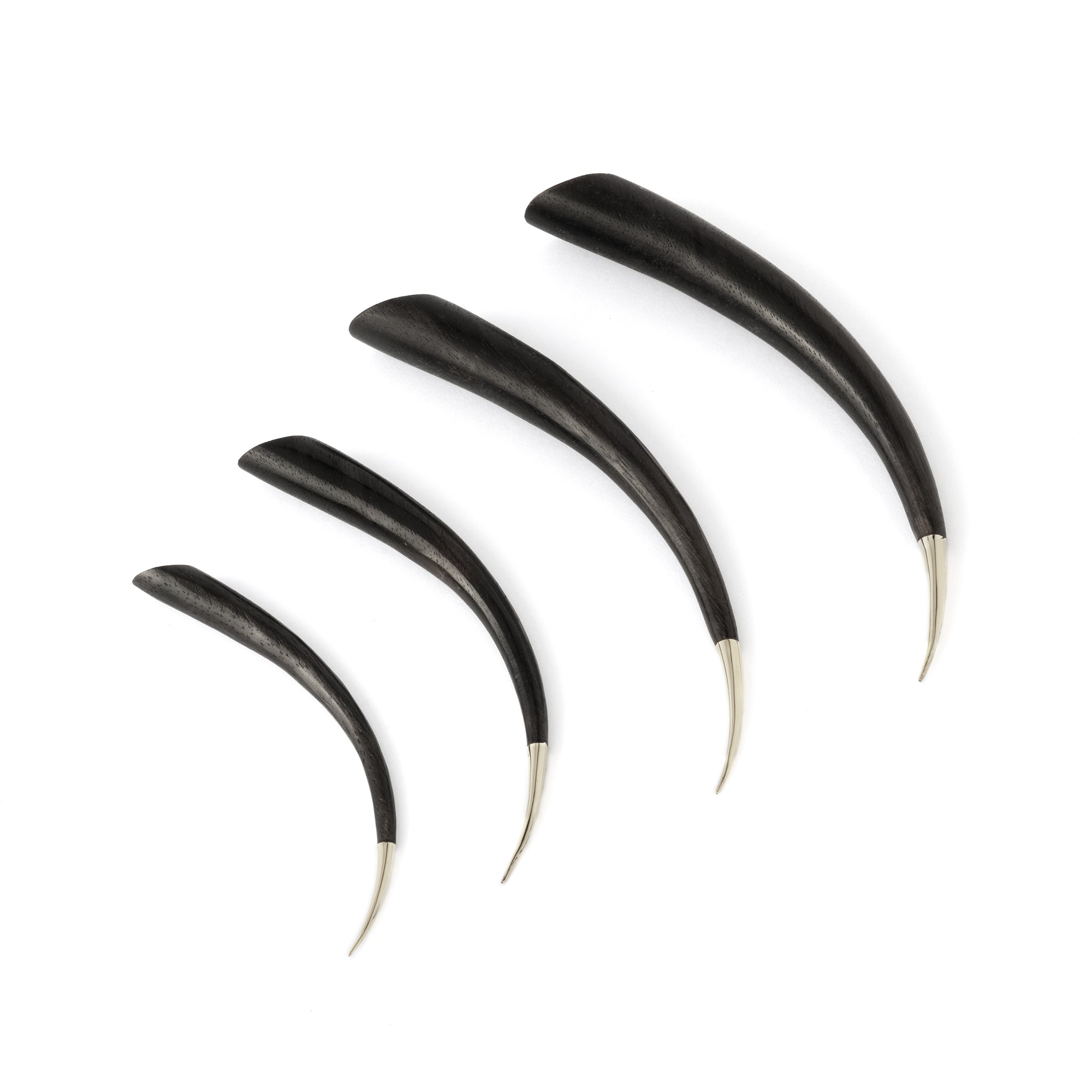 Spike Stretcher with Silver Tip