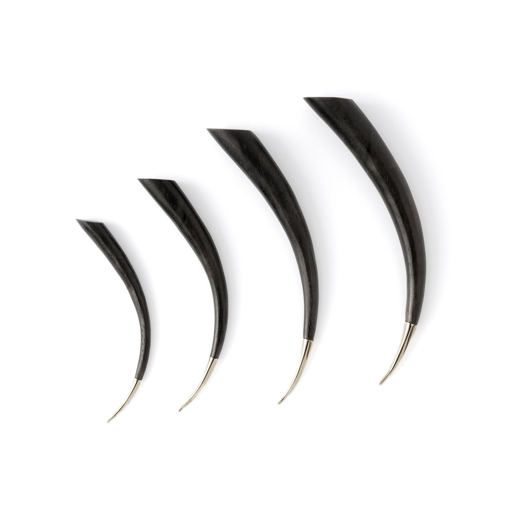 Spike Stretcher with Silver Tip