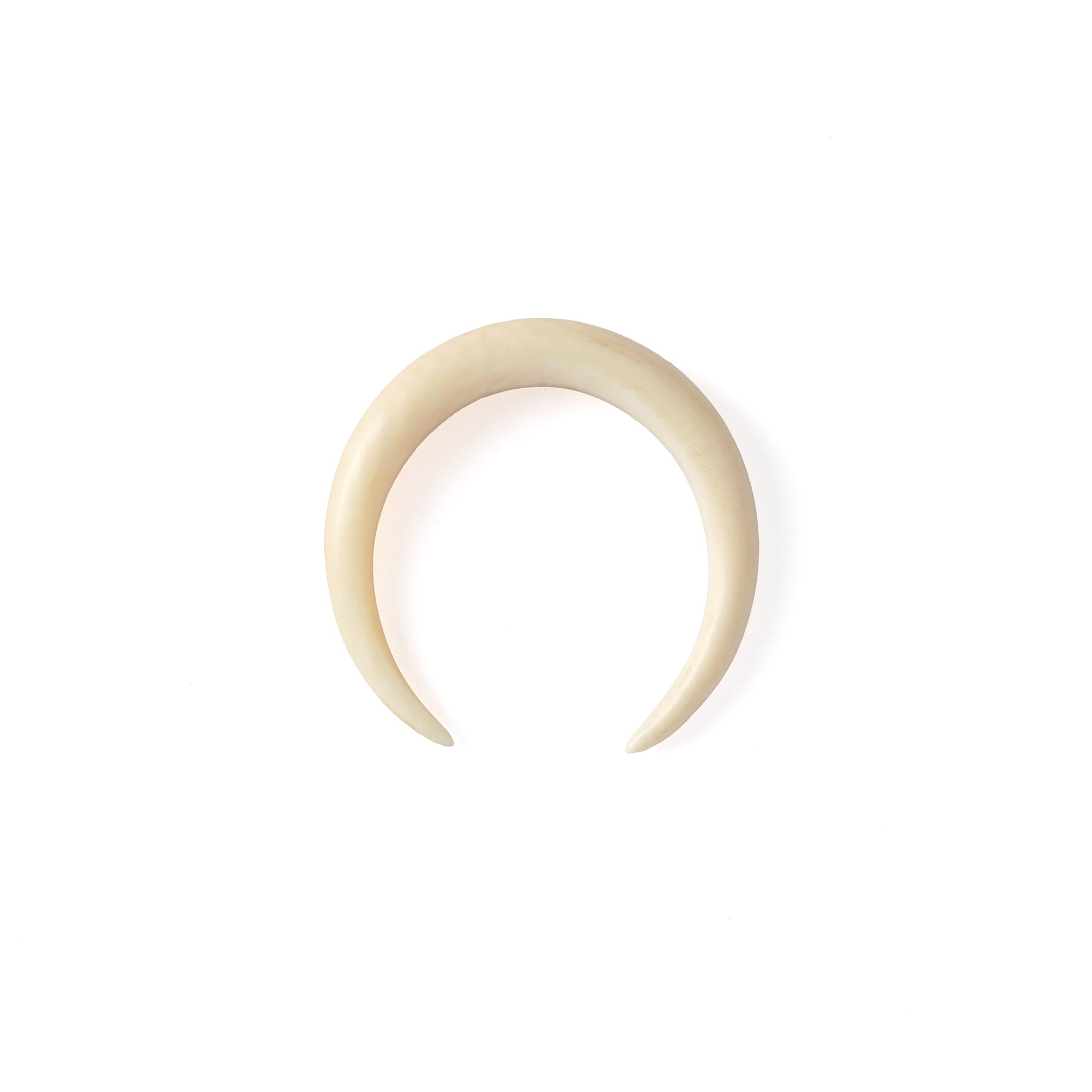 Horseshoe Fossilised Mammoth Ivory Stretcher