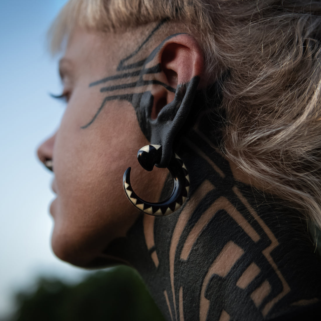 Chevron Taper Stretchers