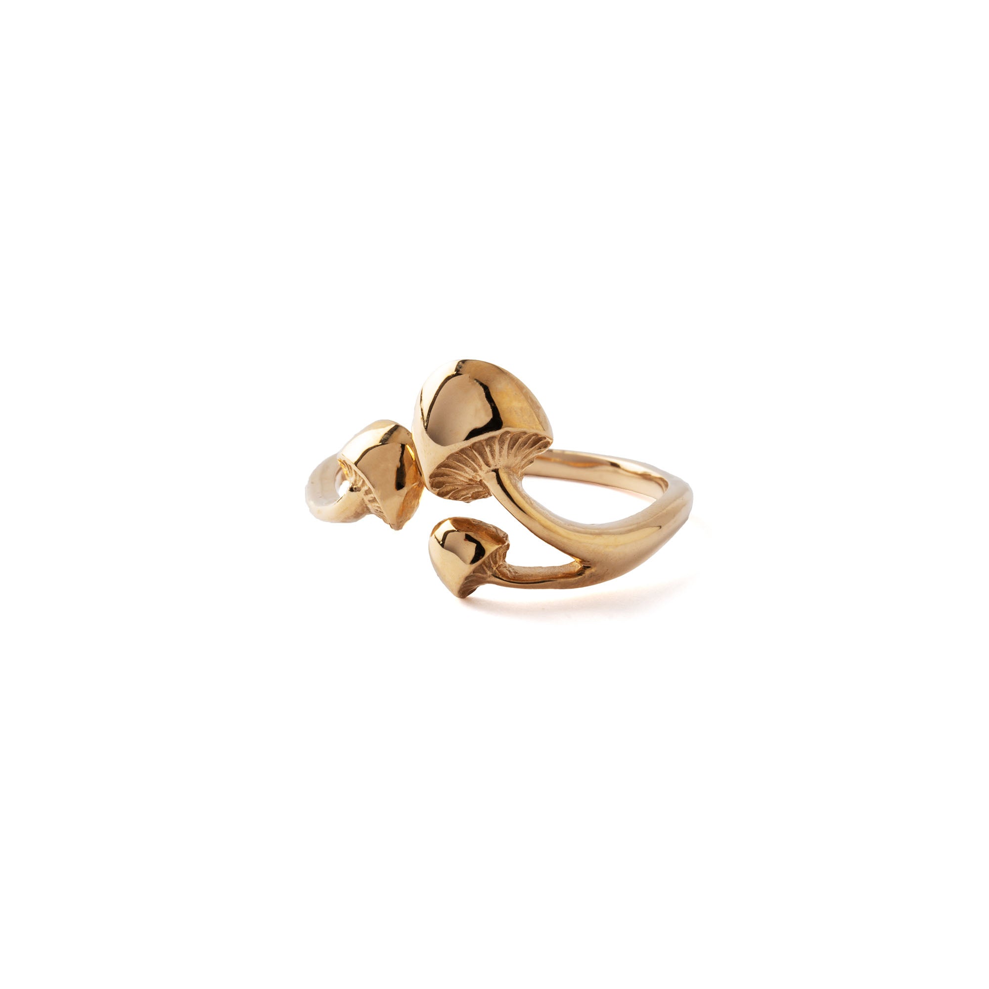 Mushroom Magic Bronze Ring right side view