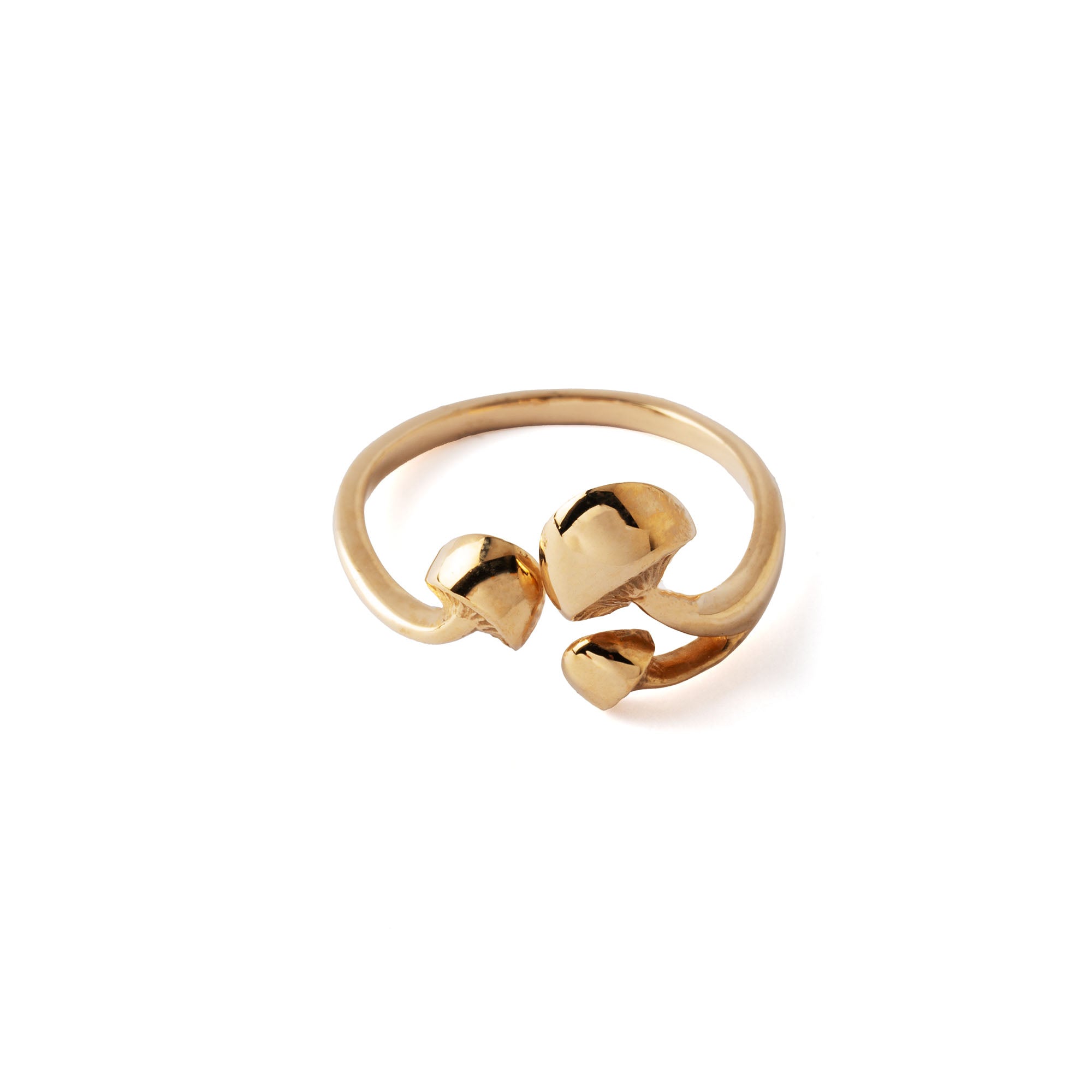 Mushroom Magic Bronze Ring frontal view