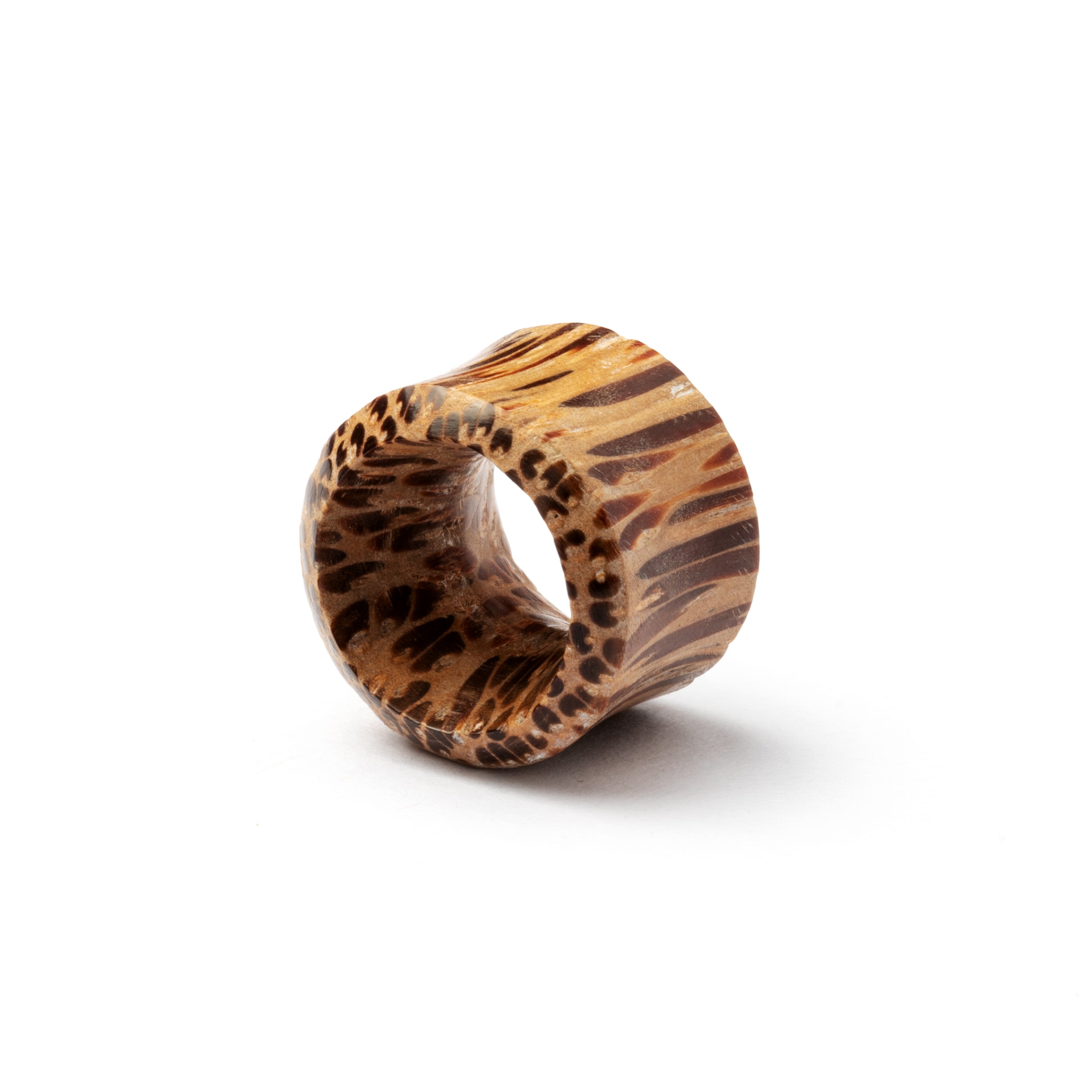 Palm Wood Tunnel