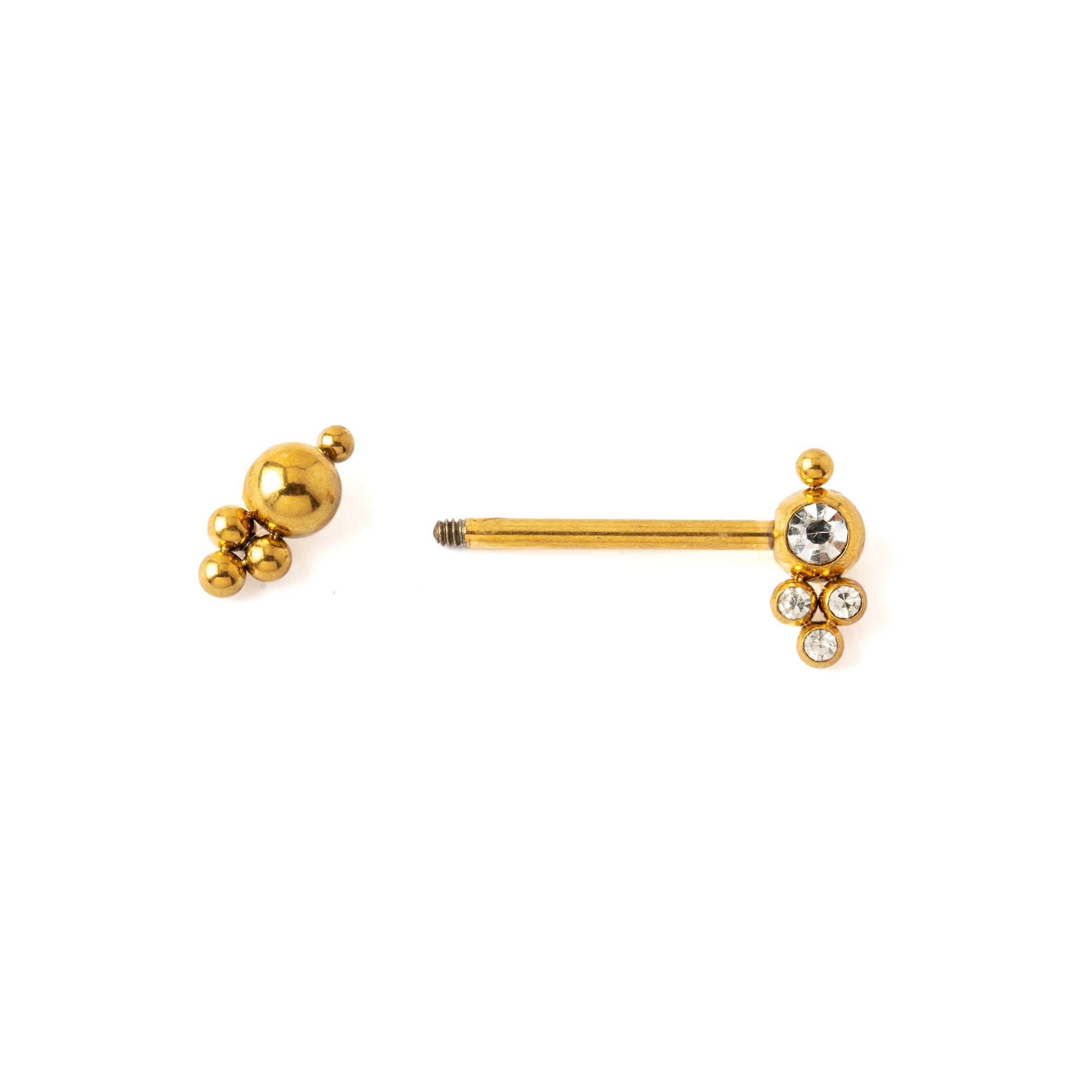 Rashmi Golden Nipple Bar