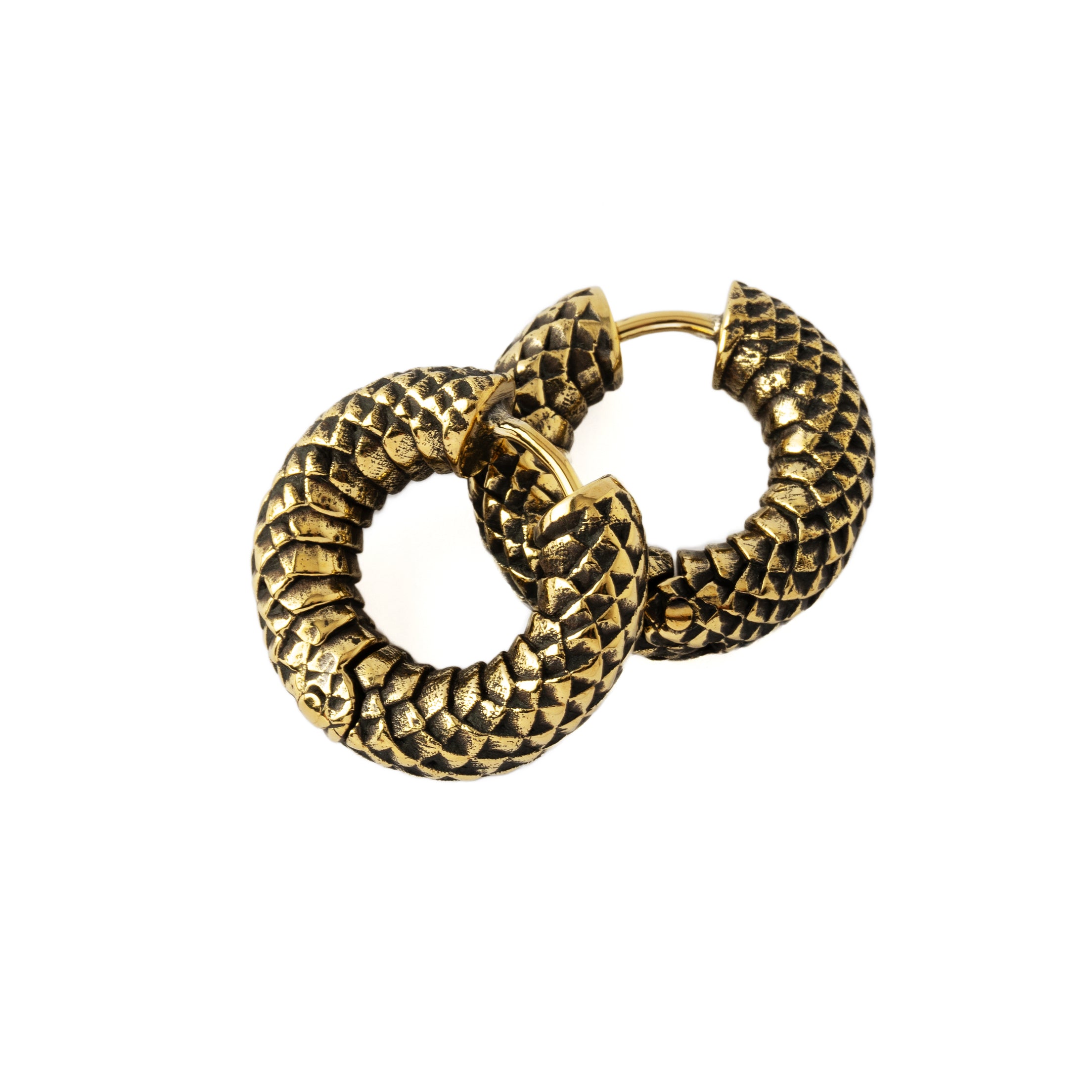 pair of Rebirth golden brass Clicker Earrings