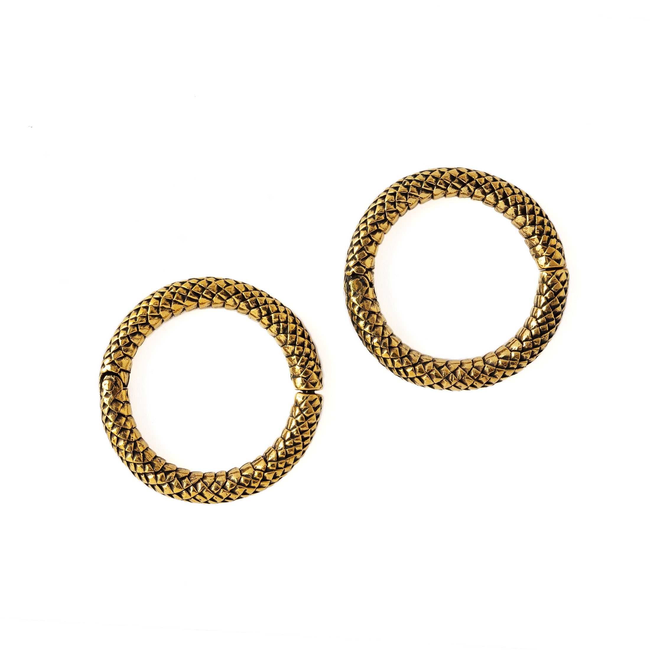 pair of 5mm (4g) Rebirth medium size clicker rings side view