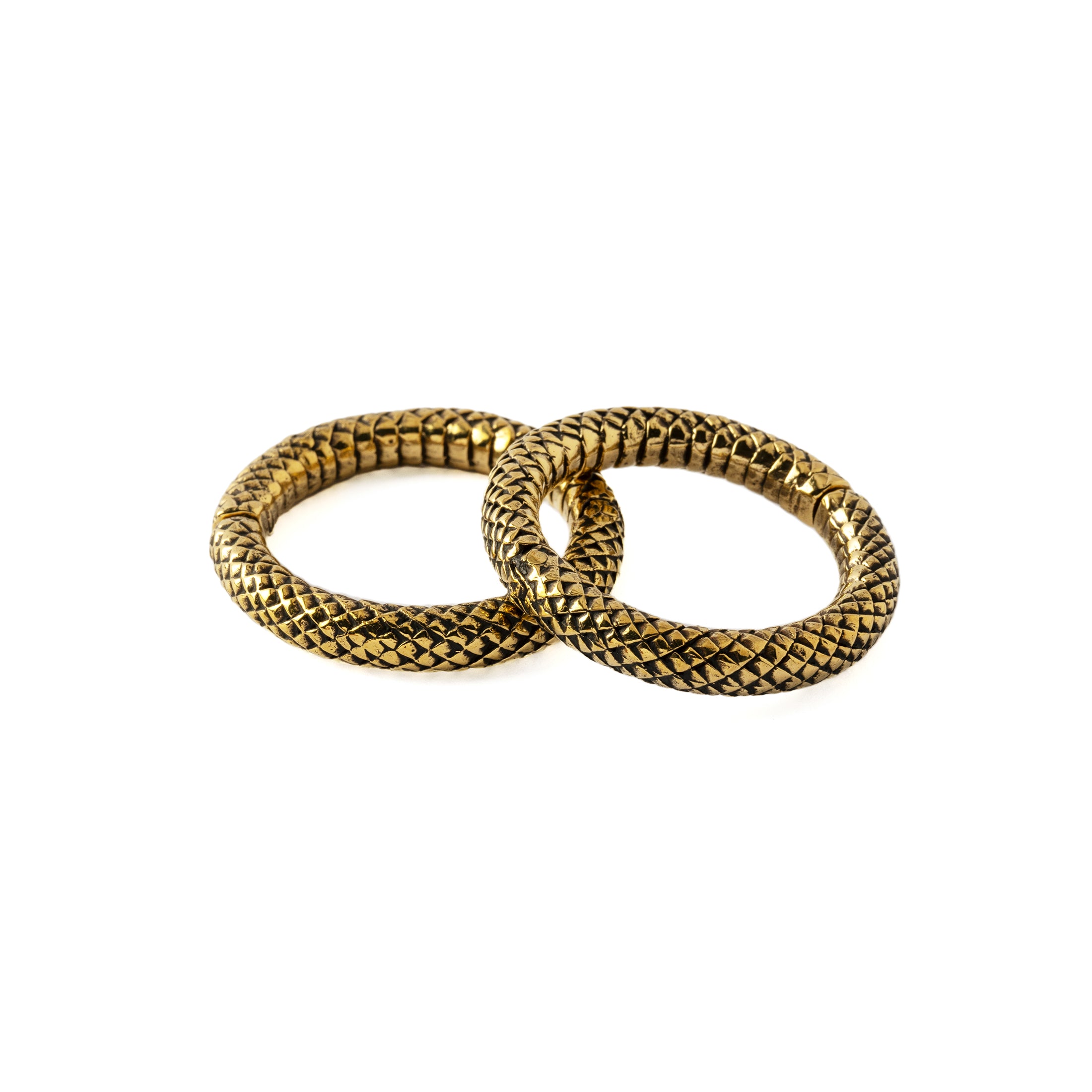pair of 5mm (4g) Rebirth medium size clicker rings