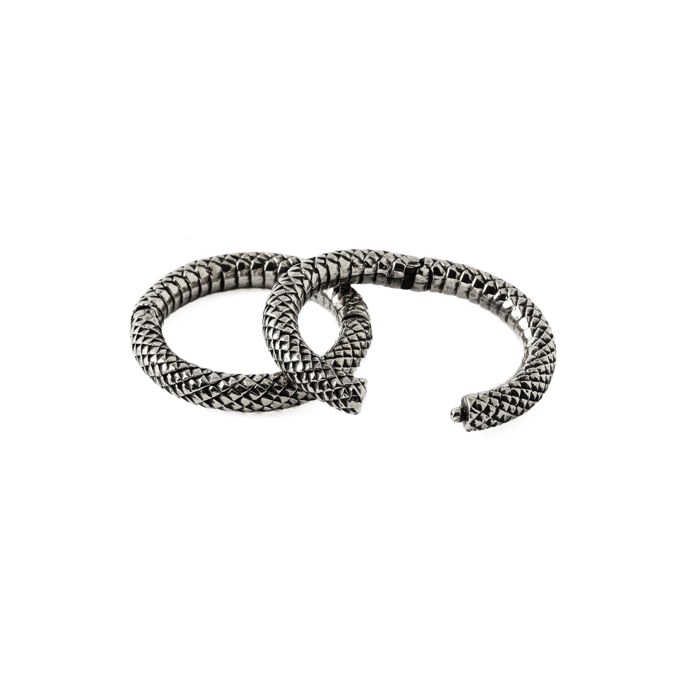 pair of 5mm Rebirth Large Silver Clicker Ring open mode view