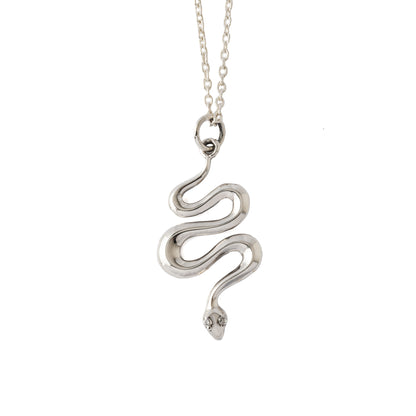 Serpent Charm Necklace frontal view