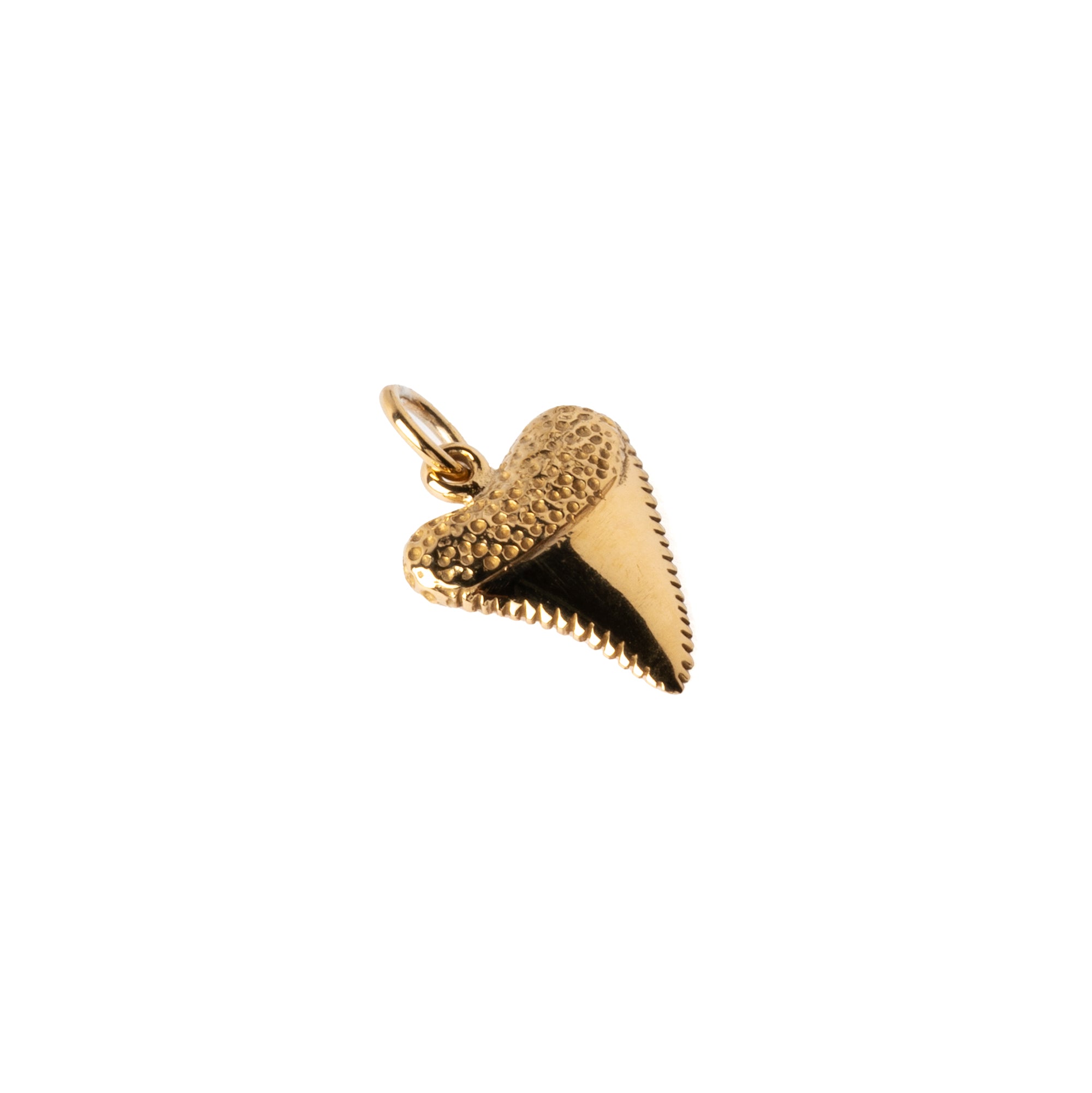 Shark Tooth Charm
