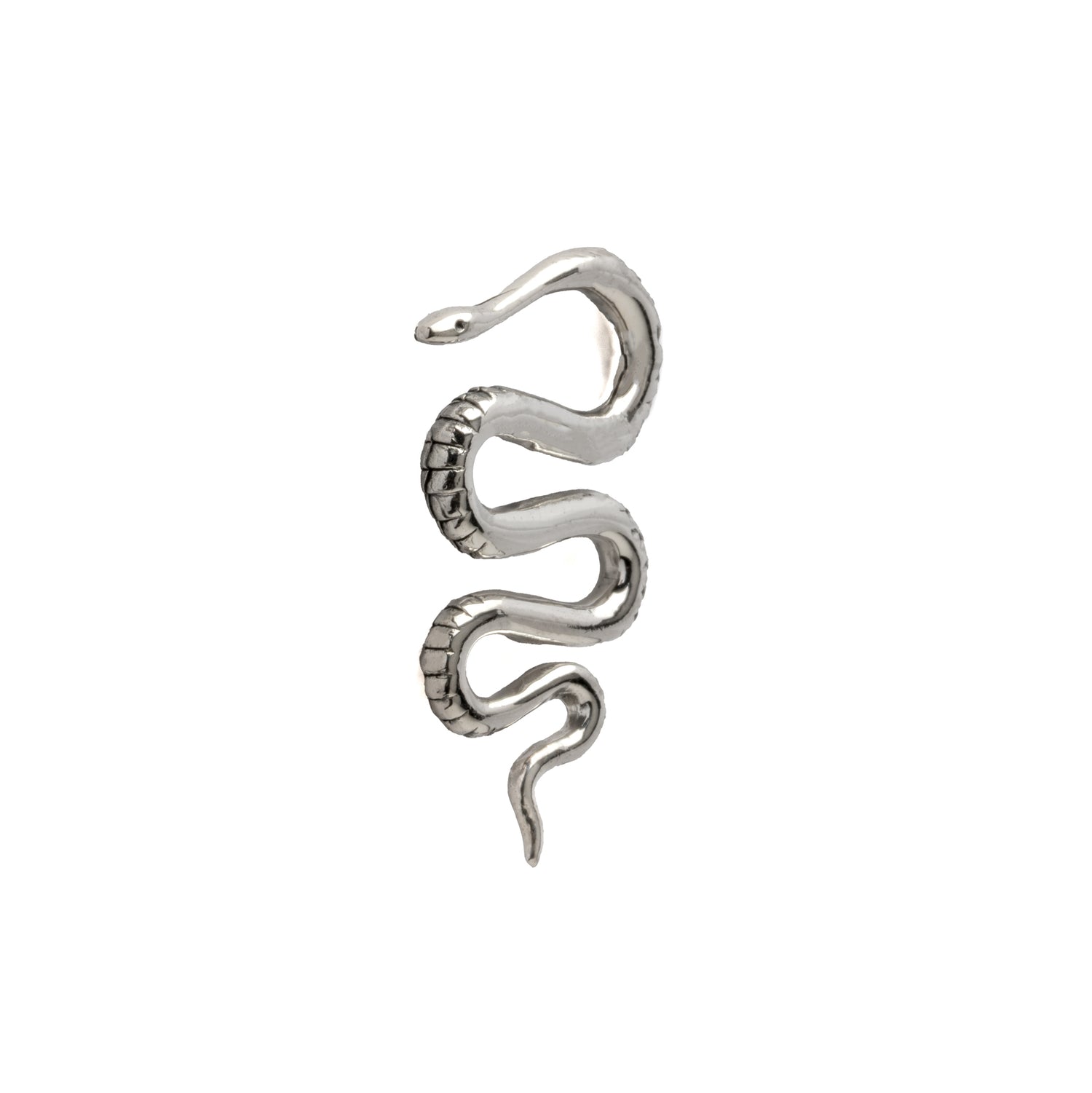Snake Silver Ear Hangers frontal view