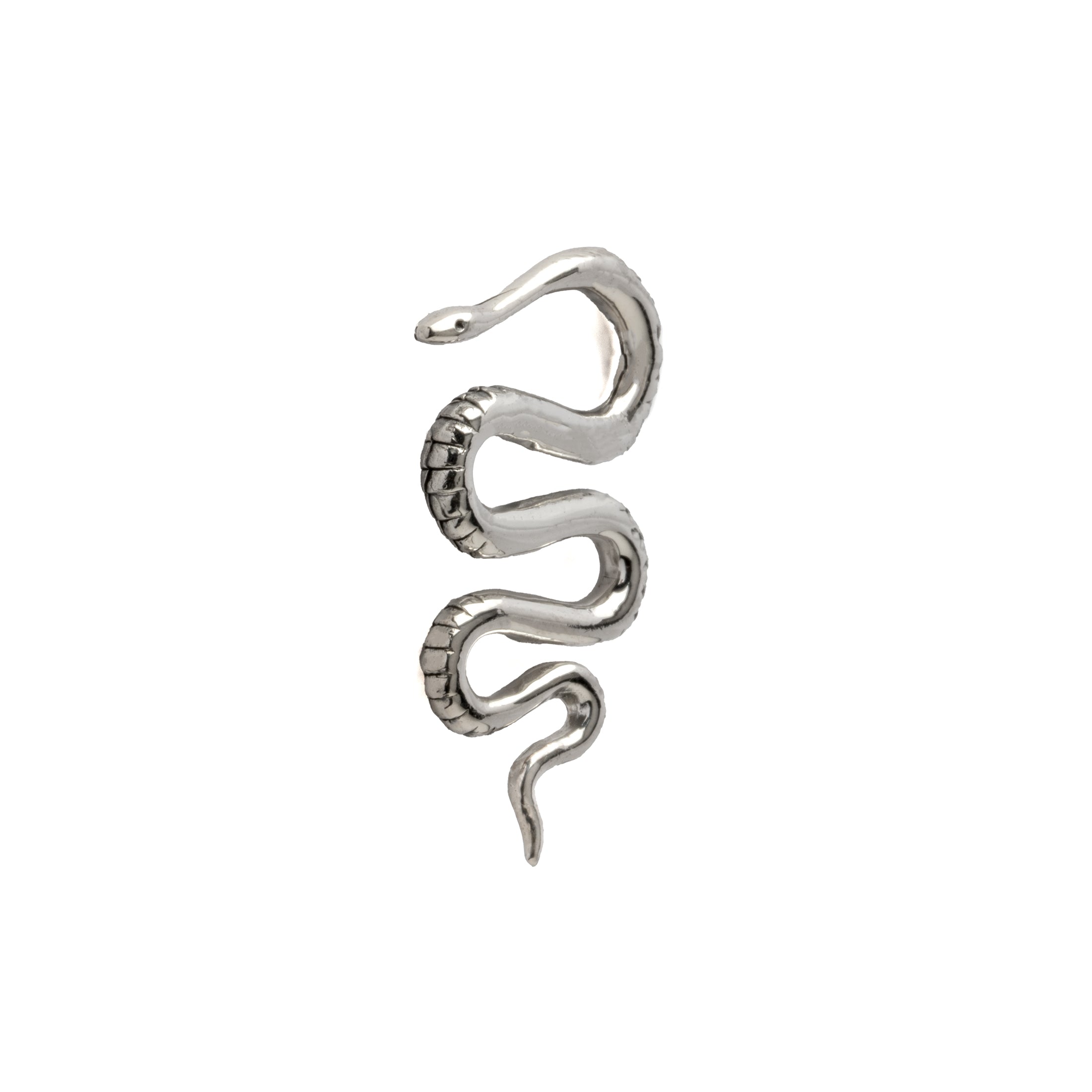 Snake Silver Ear Hangers frontal view