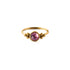 0.8mm (20g) Siti Golden Nose Ring with Amethyst frontal view