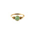 0.8mm (20g) Siti Golden Nose Ring with Jade frontal view