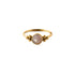 0.8mm (20g) Siti Golden Nose Ring with Rose Quartz frontal view