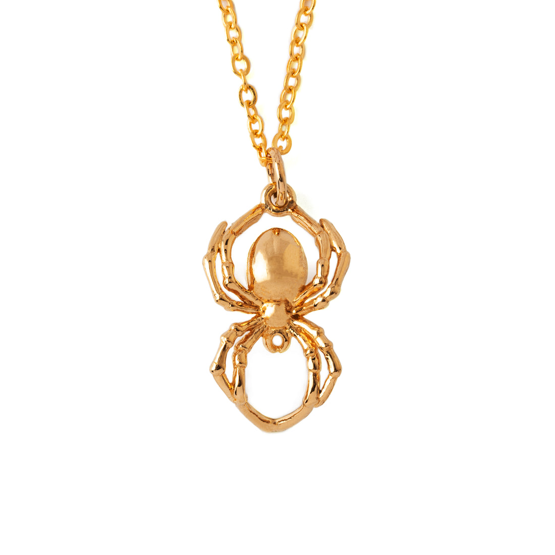Spider Charm frontal view
