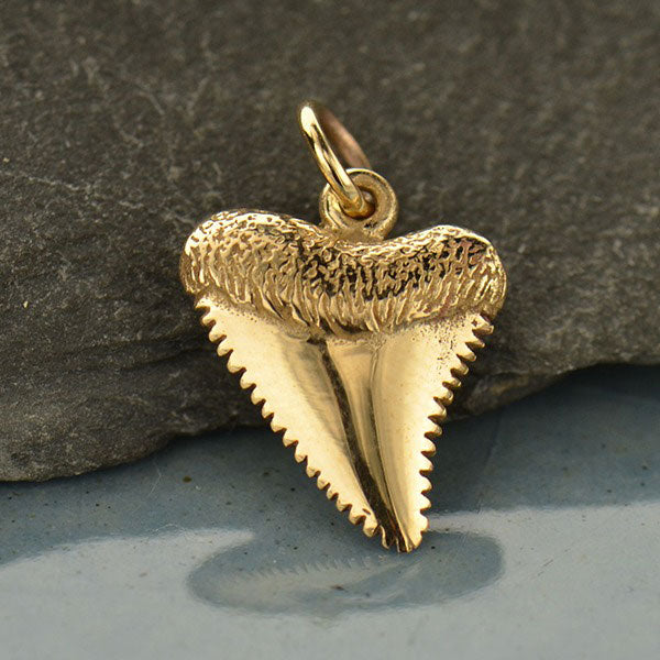 Shark Tooth Charm