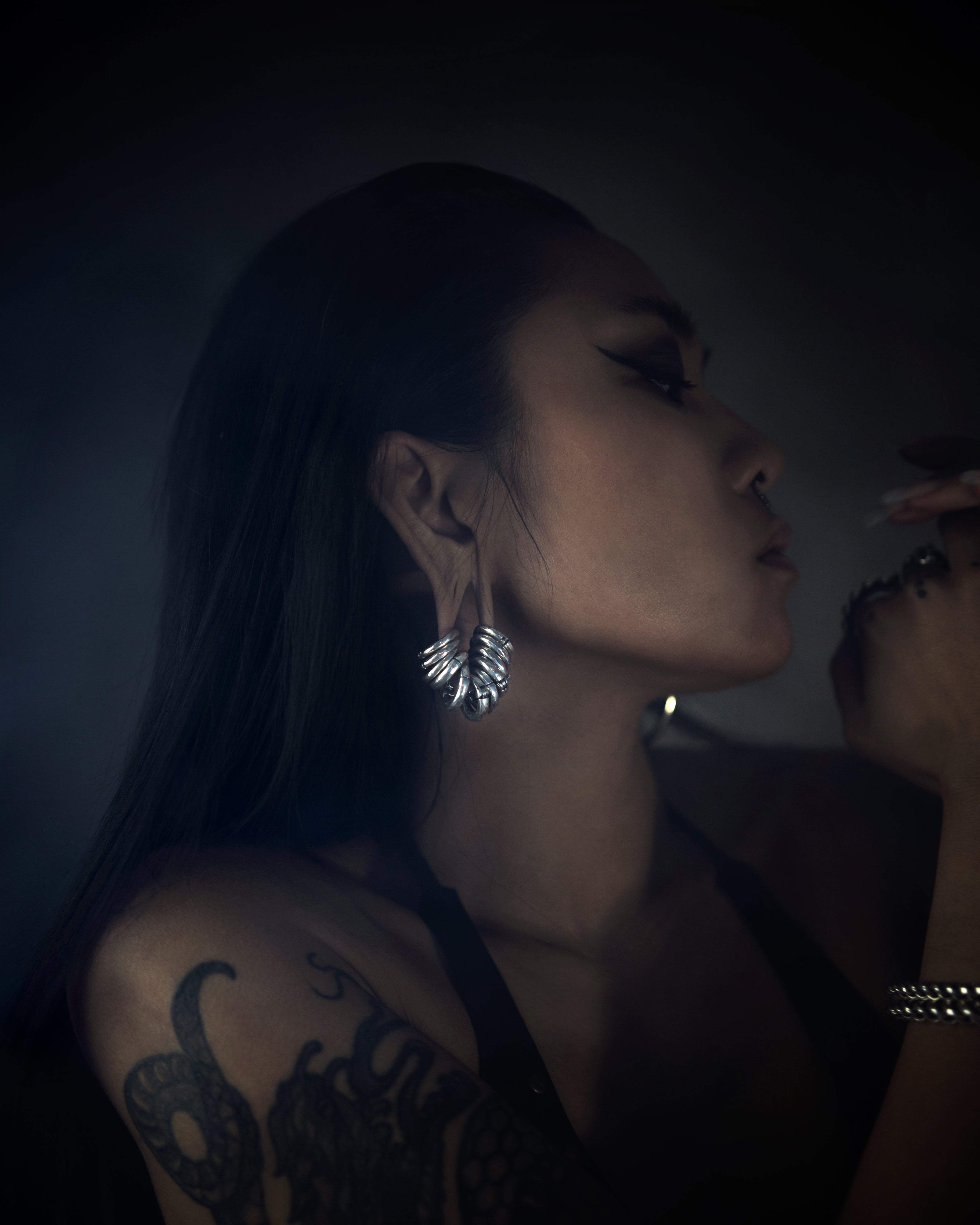 silver hammered gauge hoops model image