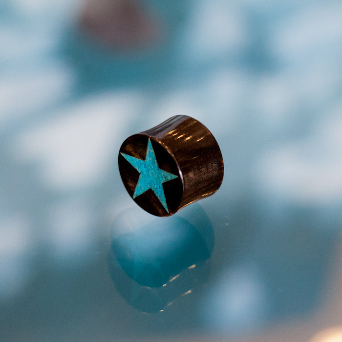 Horn and Turquoise Star Plugs