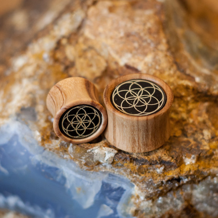 Wood Plugs Seed of Life