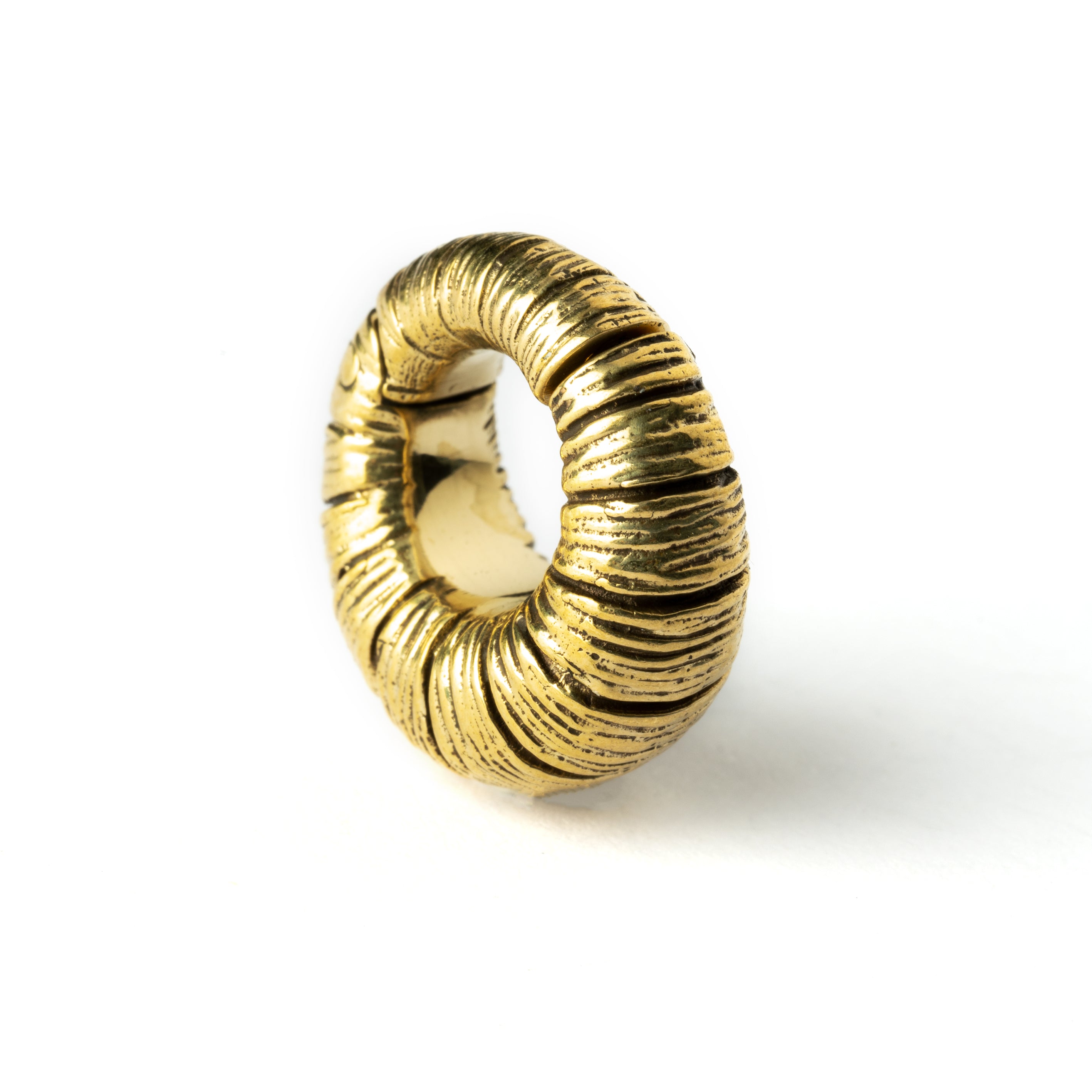 Amara ear weights hoops clicker earrings side view