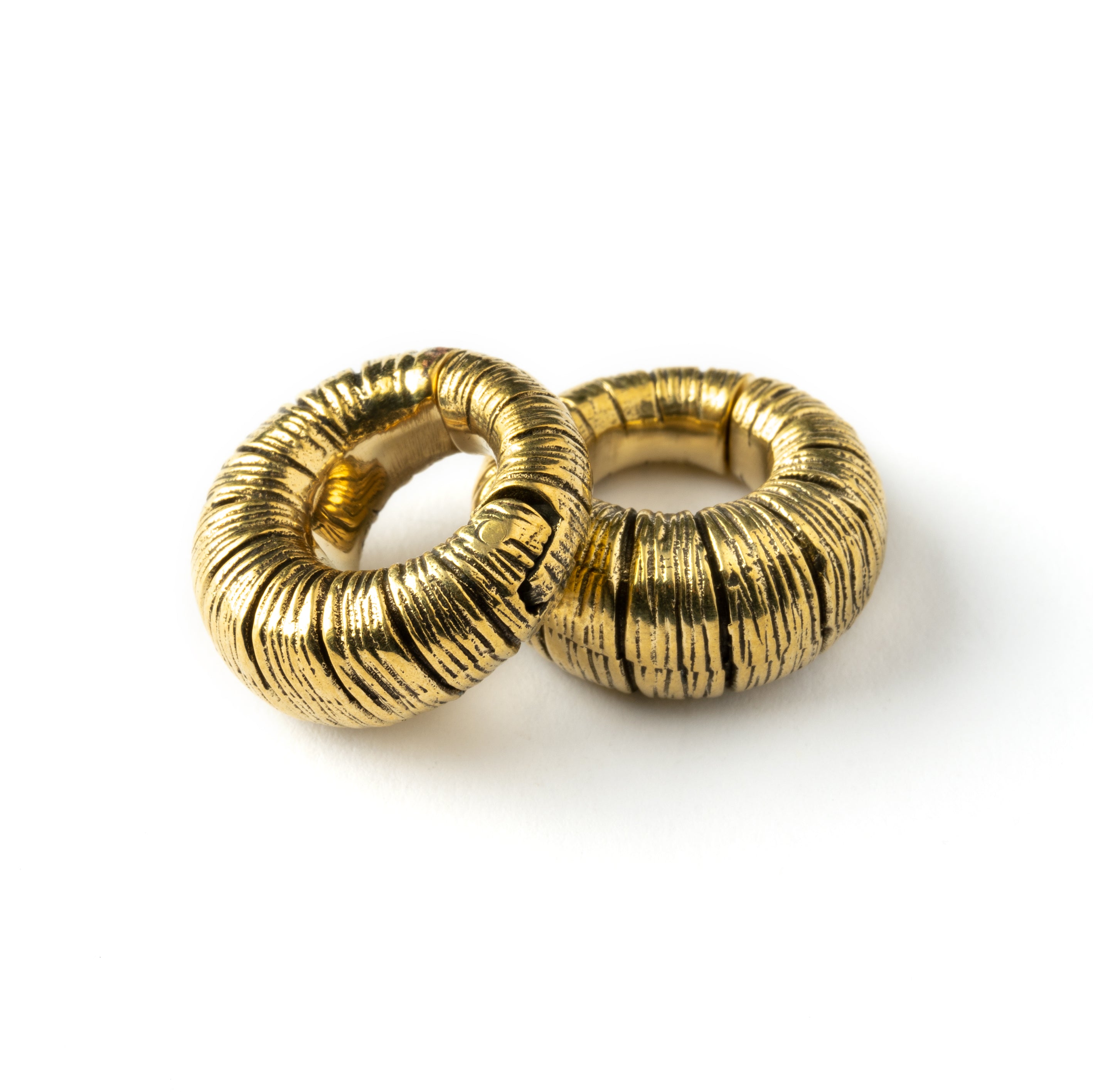 pair of Amara ear weights hoops clicker earrings down view