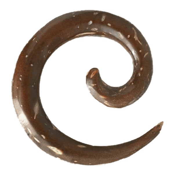 Koru Spiral Wood Ear Stretcher