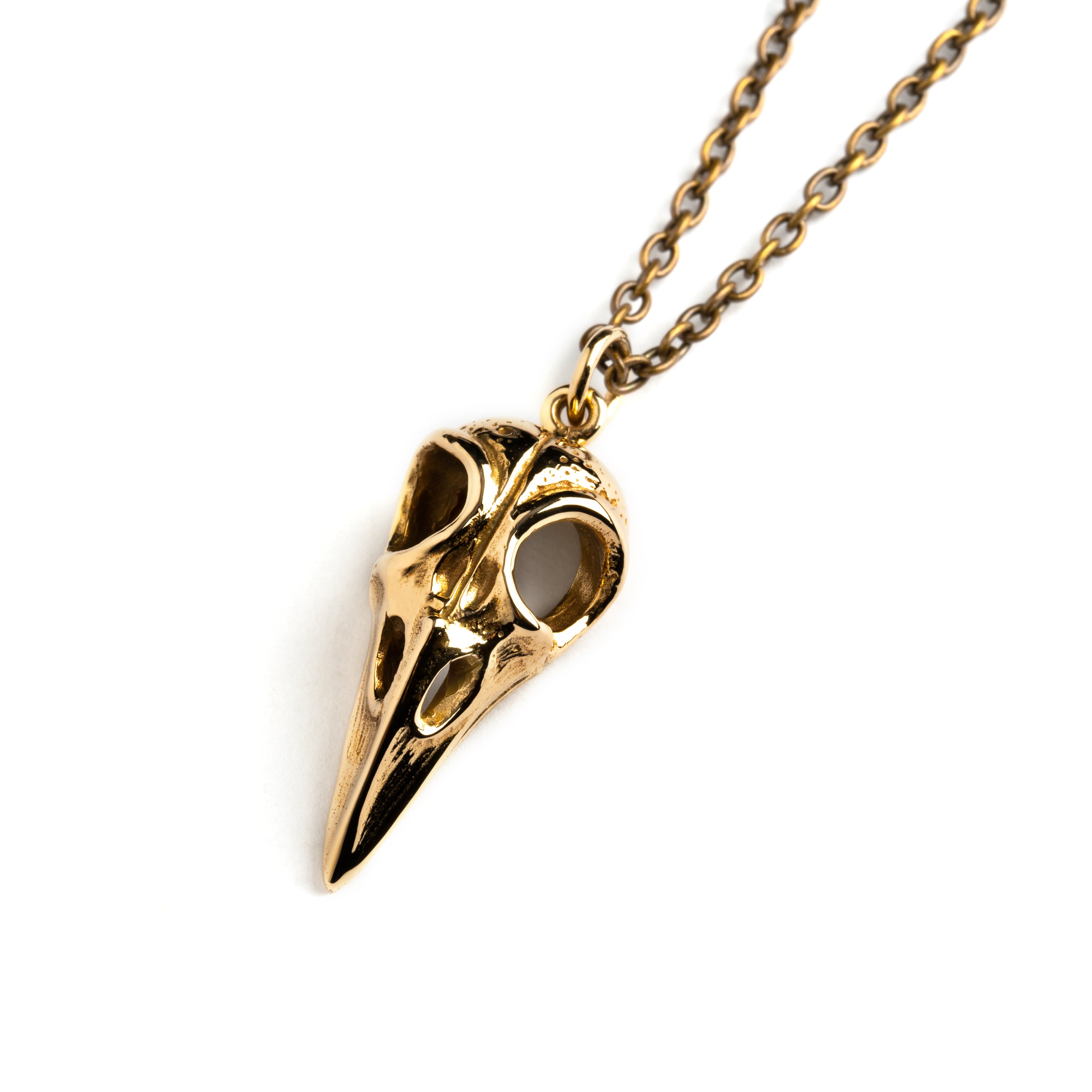 Bronze raven skull necklace left view