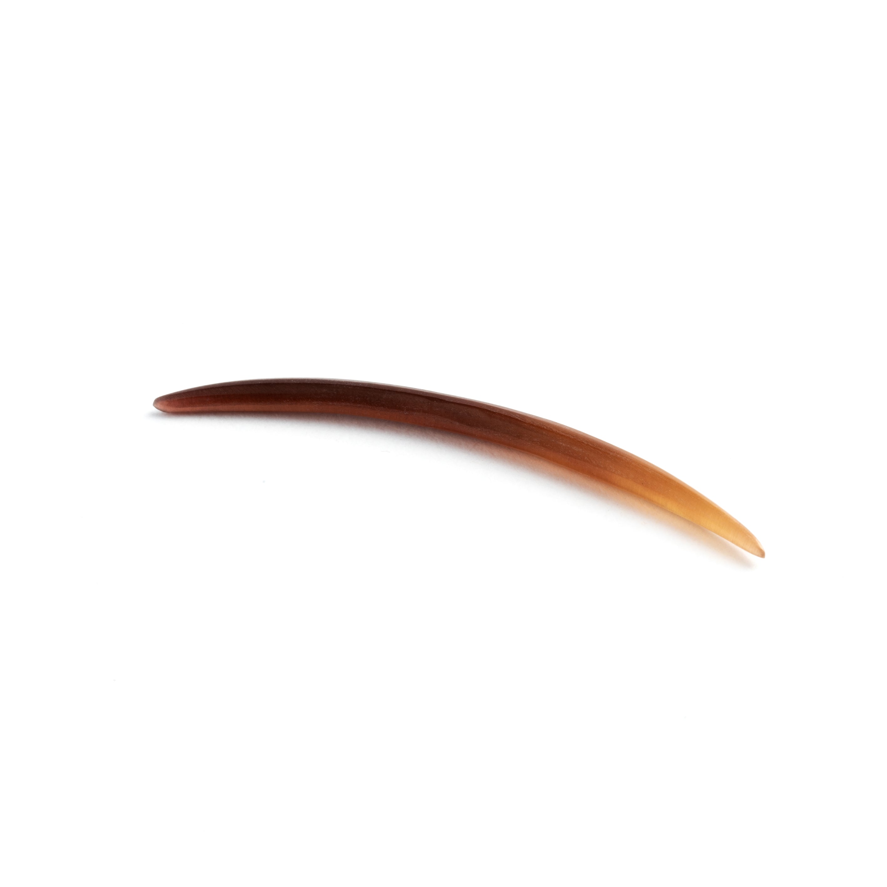 Black-Shell-Septum_1