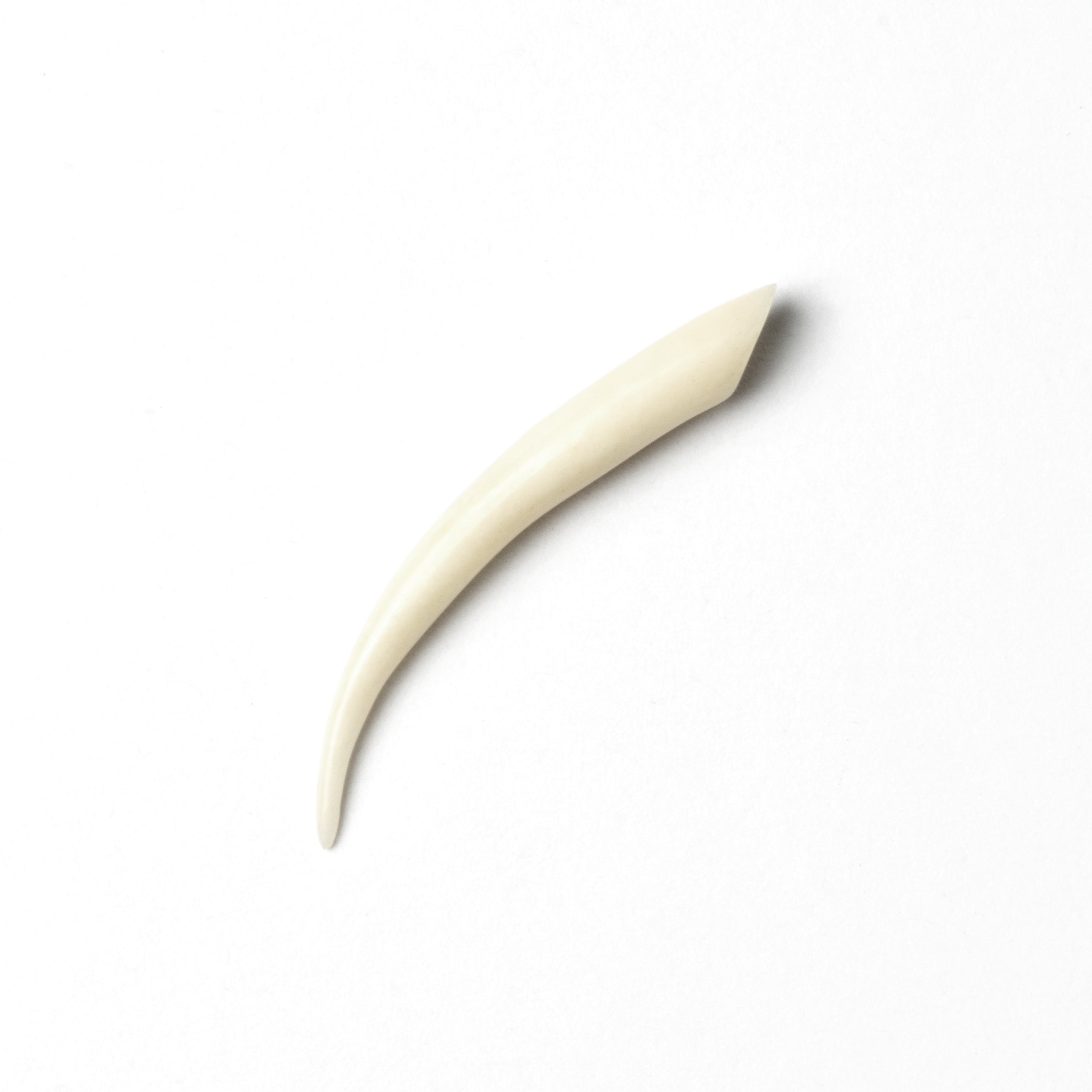 Bone Spike Ear Stretcher