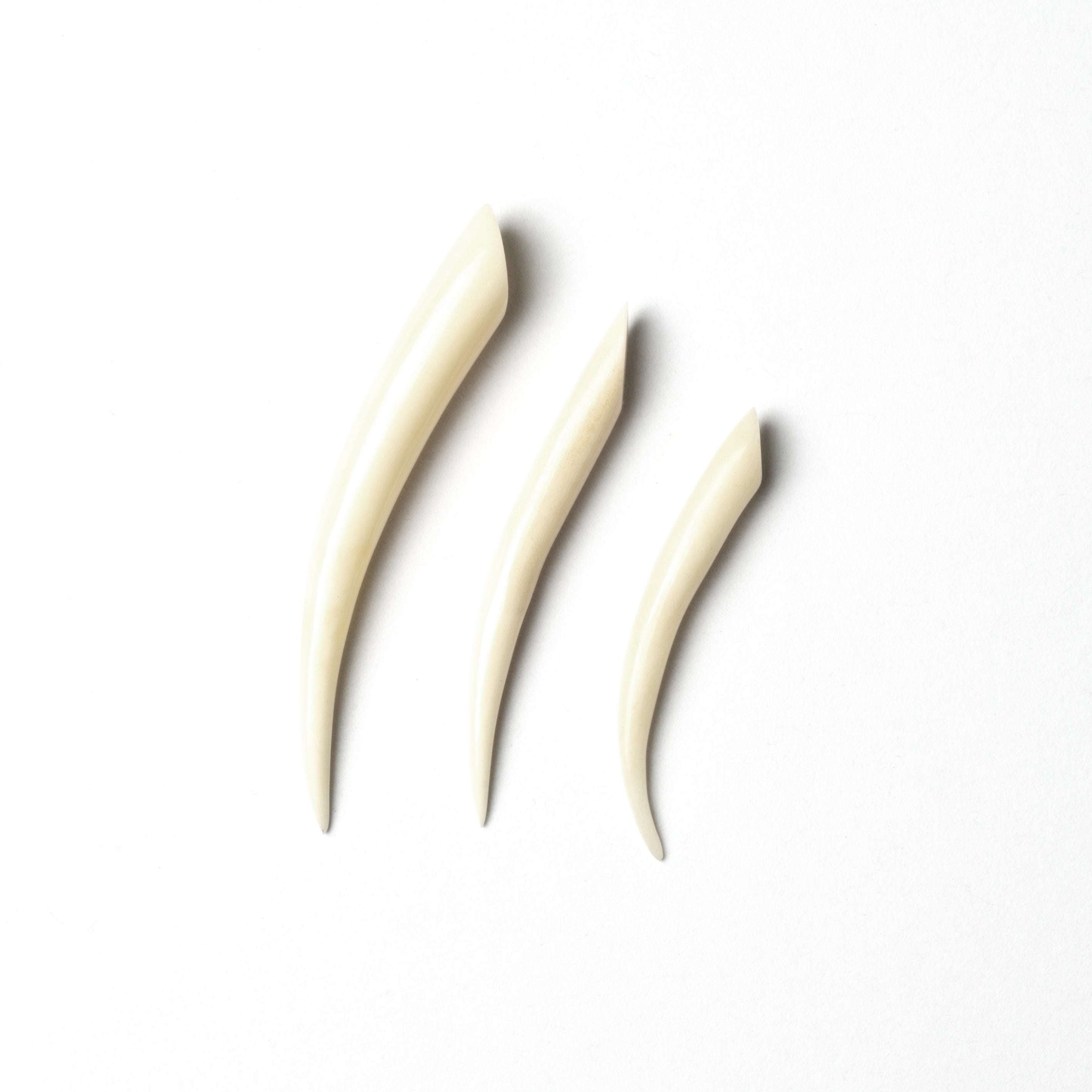 Bone Spike Ear Stretcher