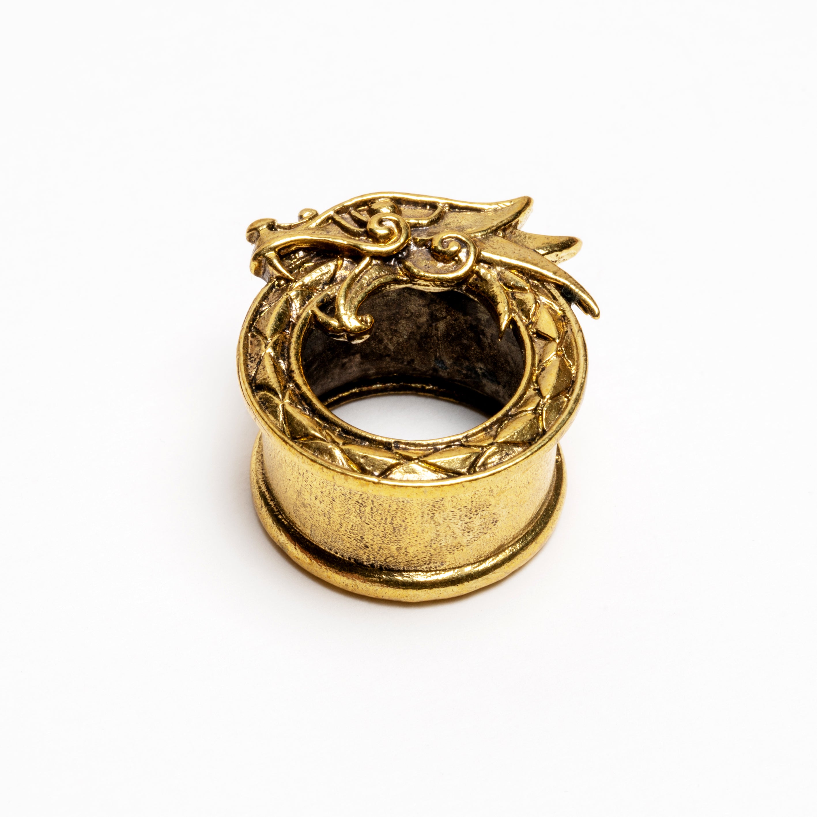 golden brass dragon flesh tunnel