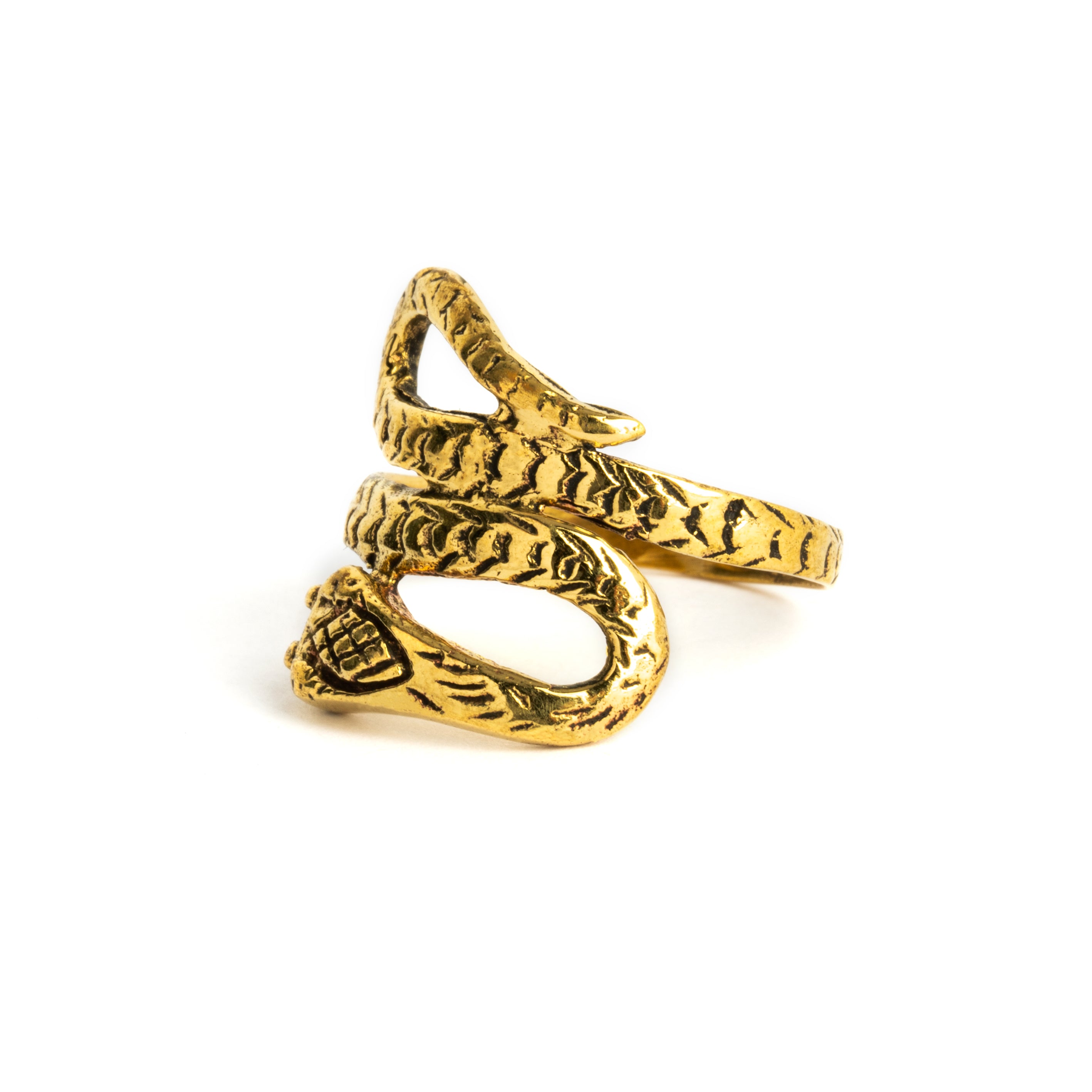 Brass Ring Snake