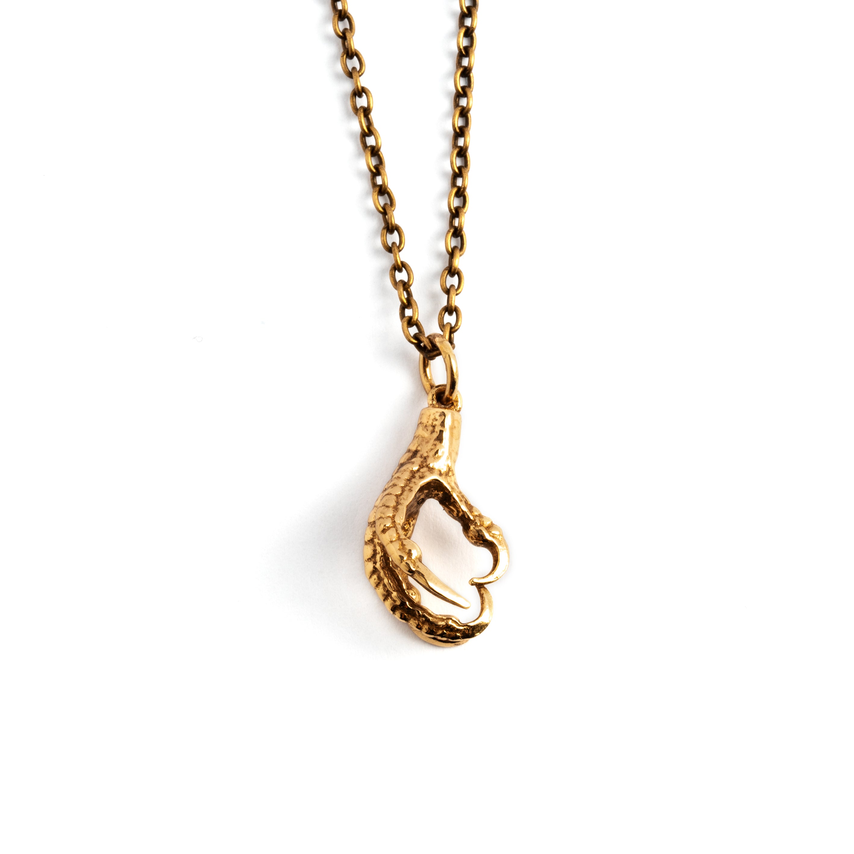 Bird Claw charm Necklace frontal view