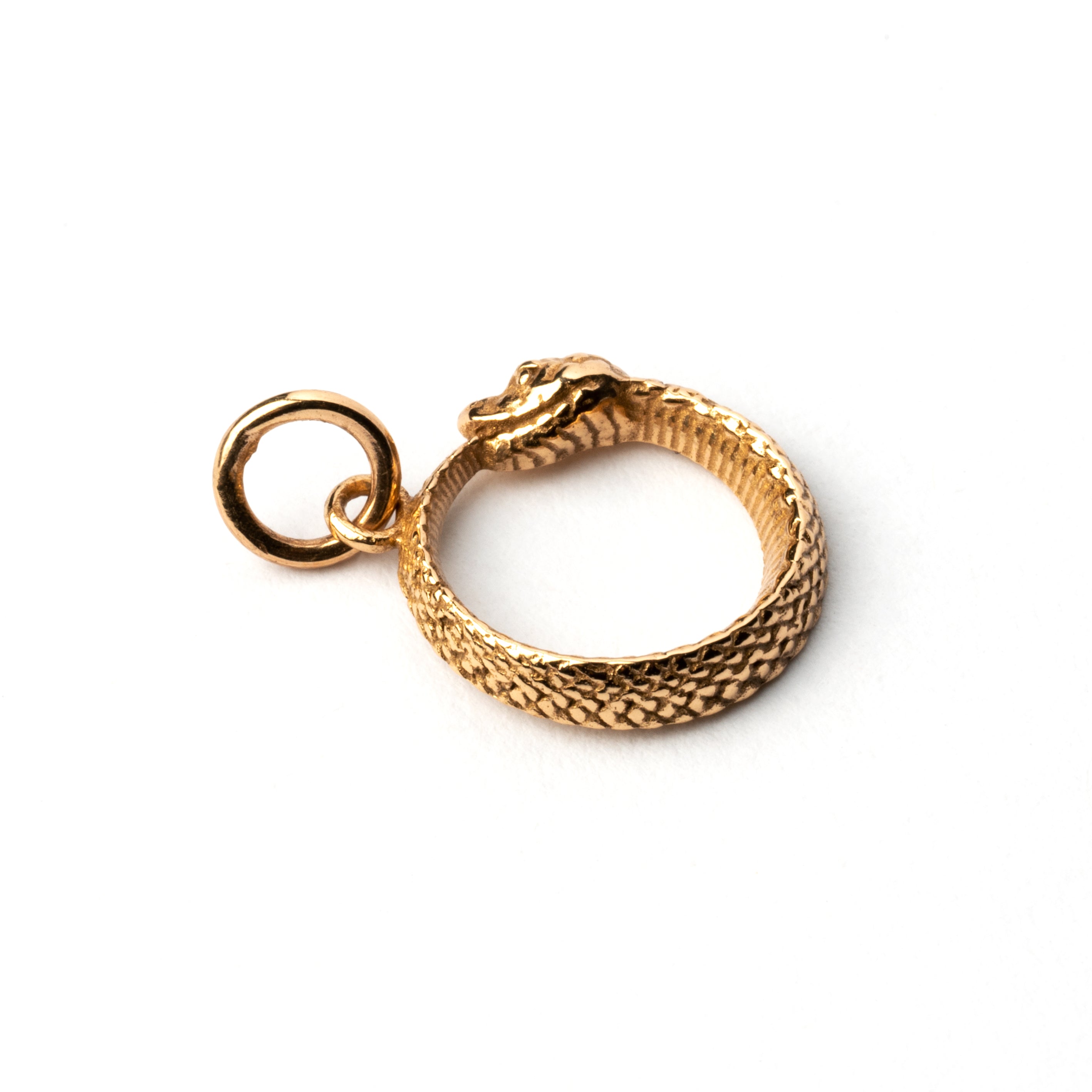 Tiny Bronze Ouroboros snake Charm necklace left side view