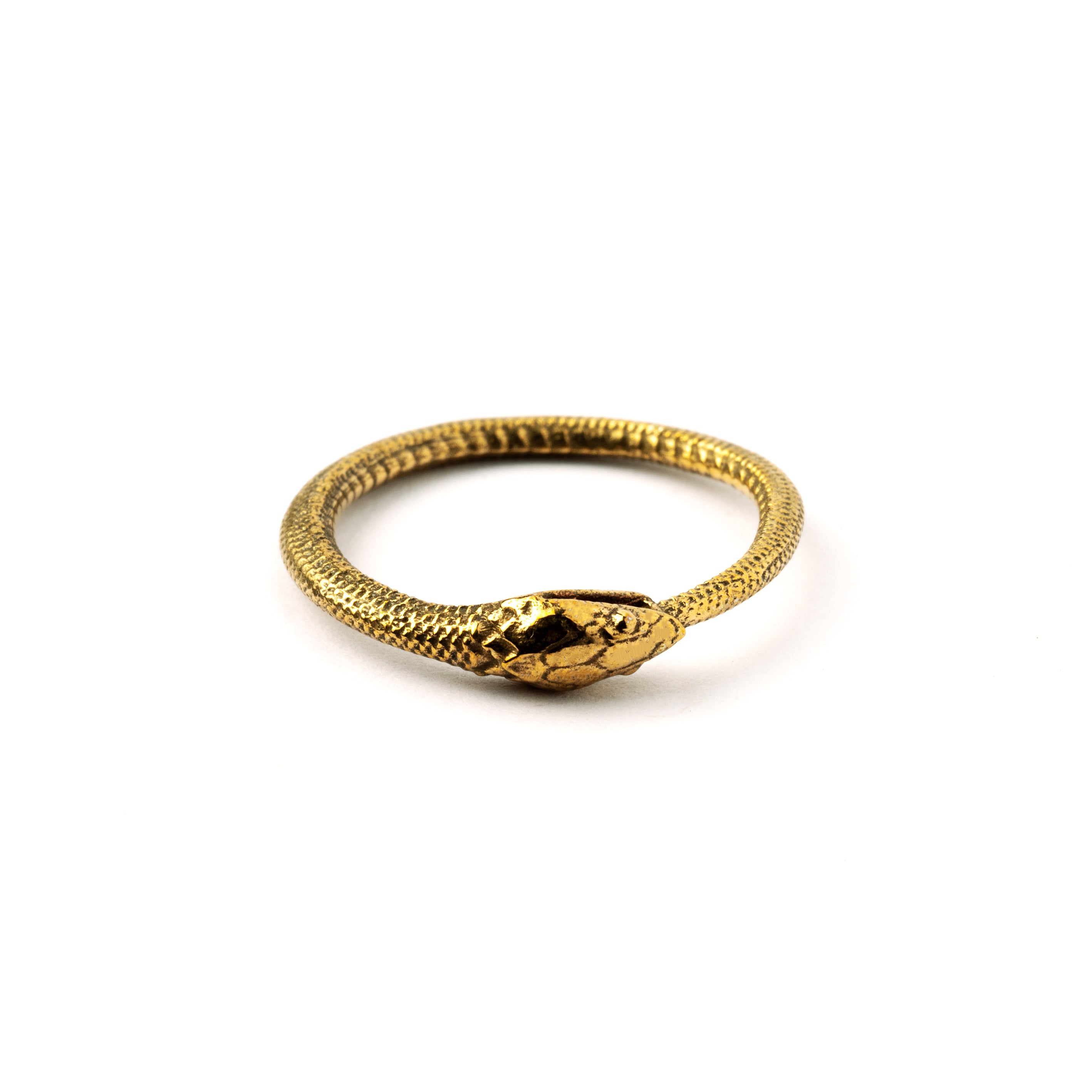 Bronze Ouroboros snake band ring frontal view